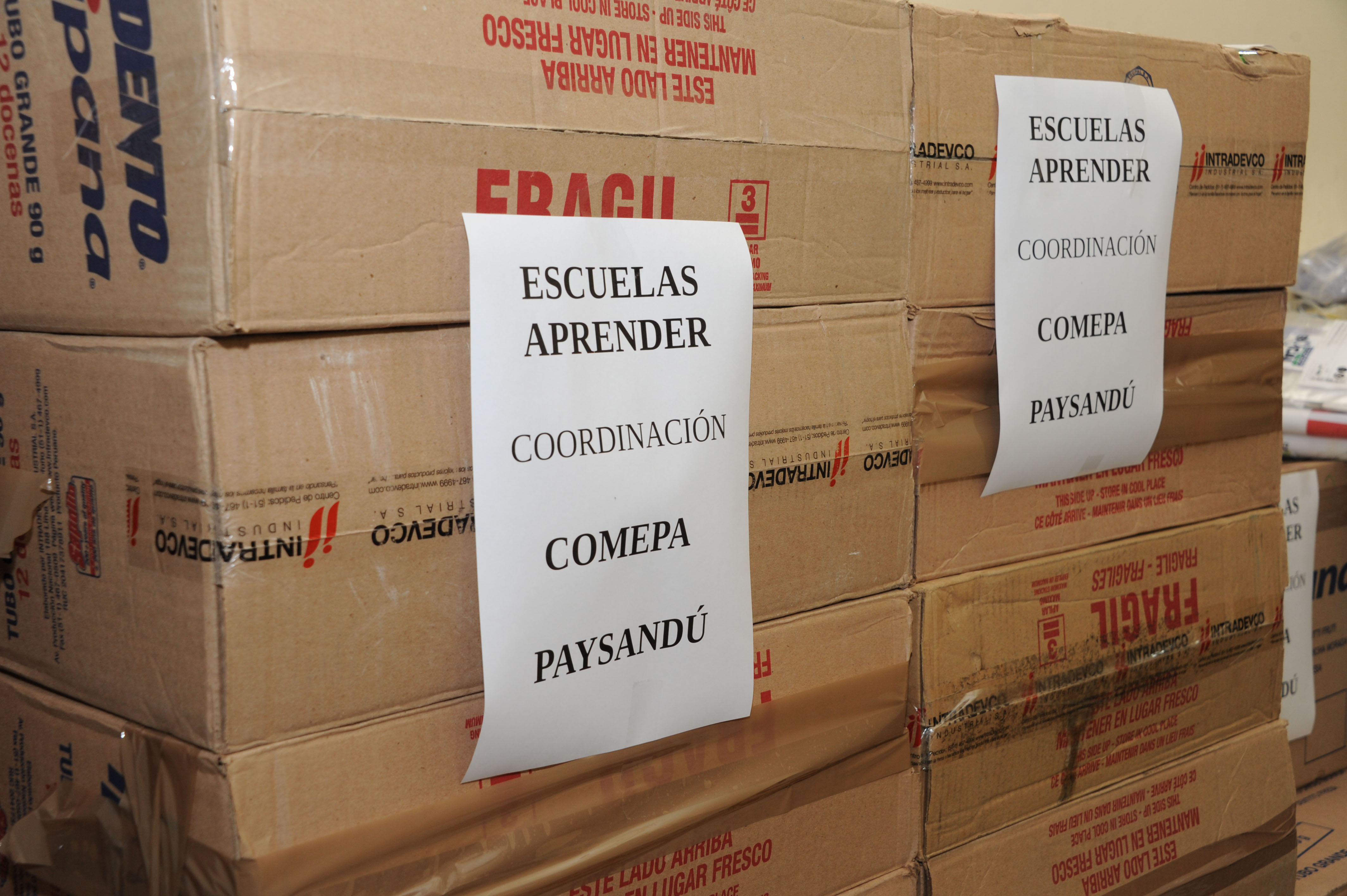 2.681 escuelas públicas y privadas del país recibirán material educativo del Programa de Salud Bucal Escolar