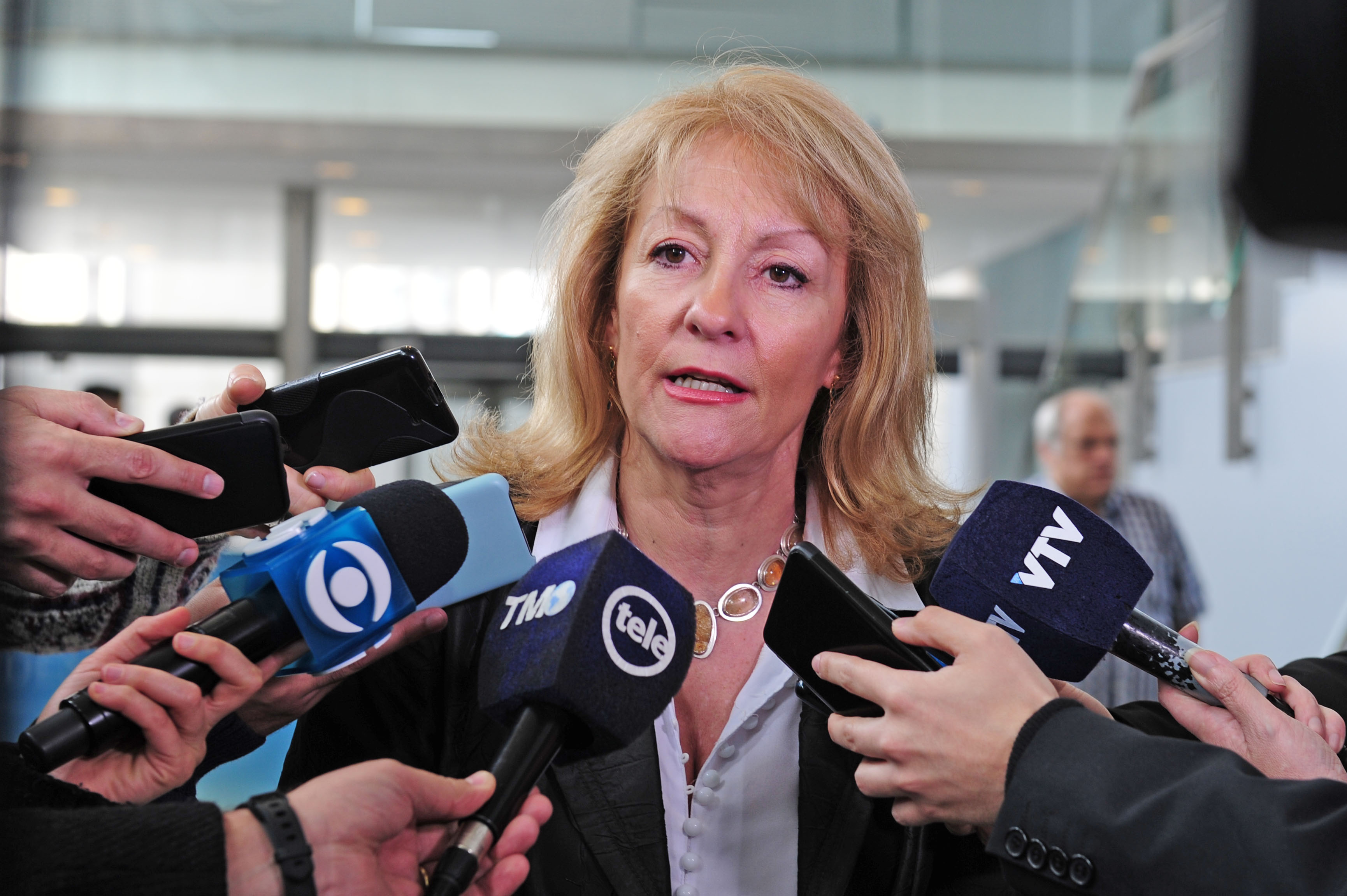 Ministra de Industria y Energía, Carolina Cosse, en declaraciones a la prensa