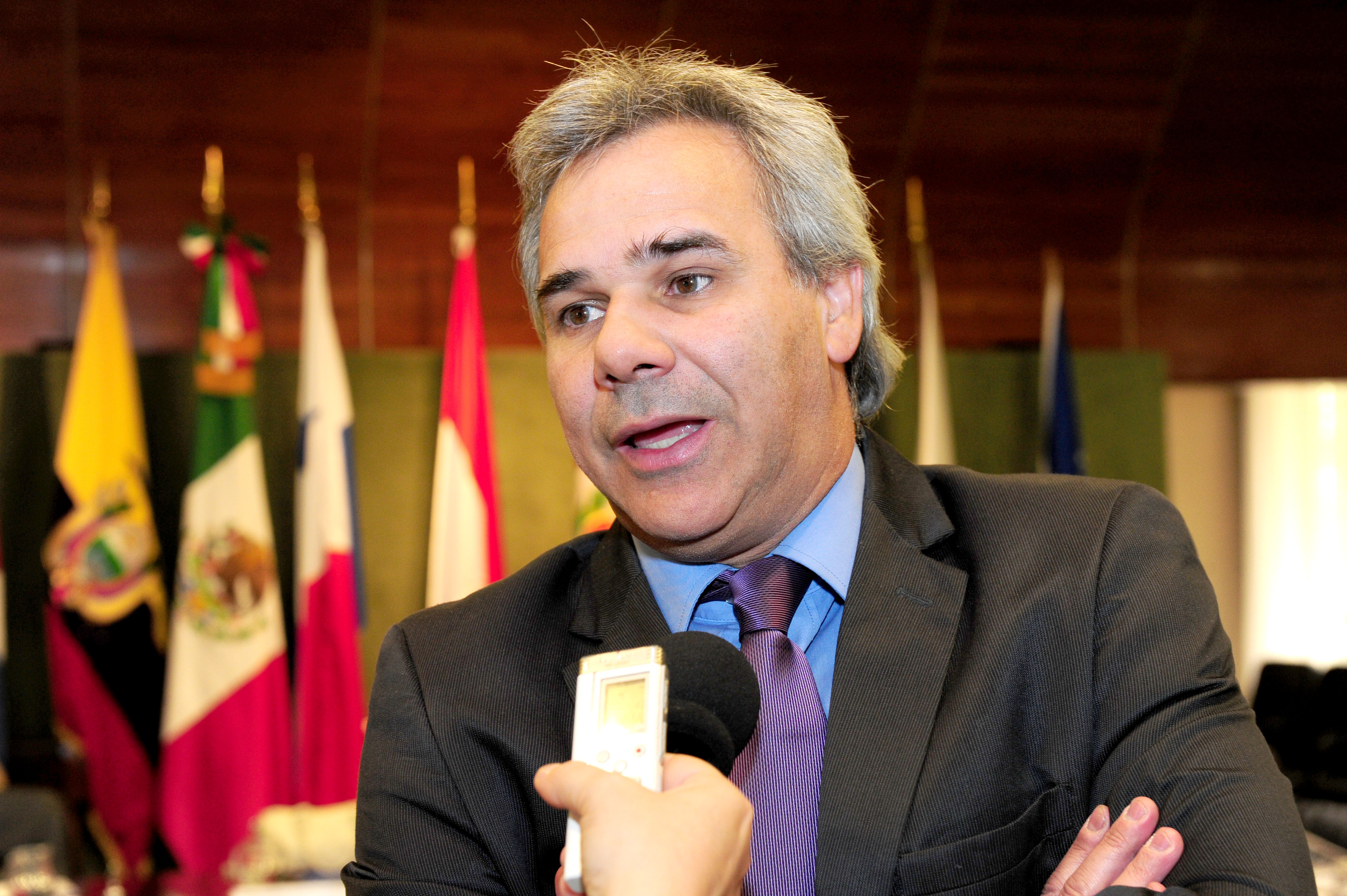 Canciller interino, Ariel Bergamino