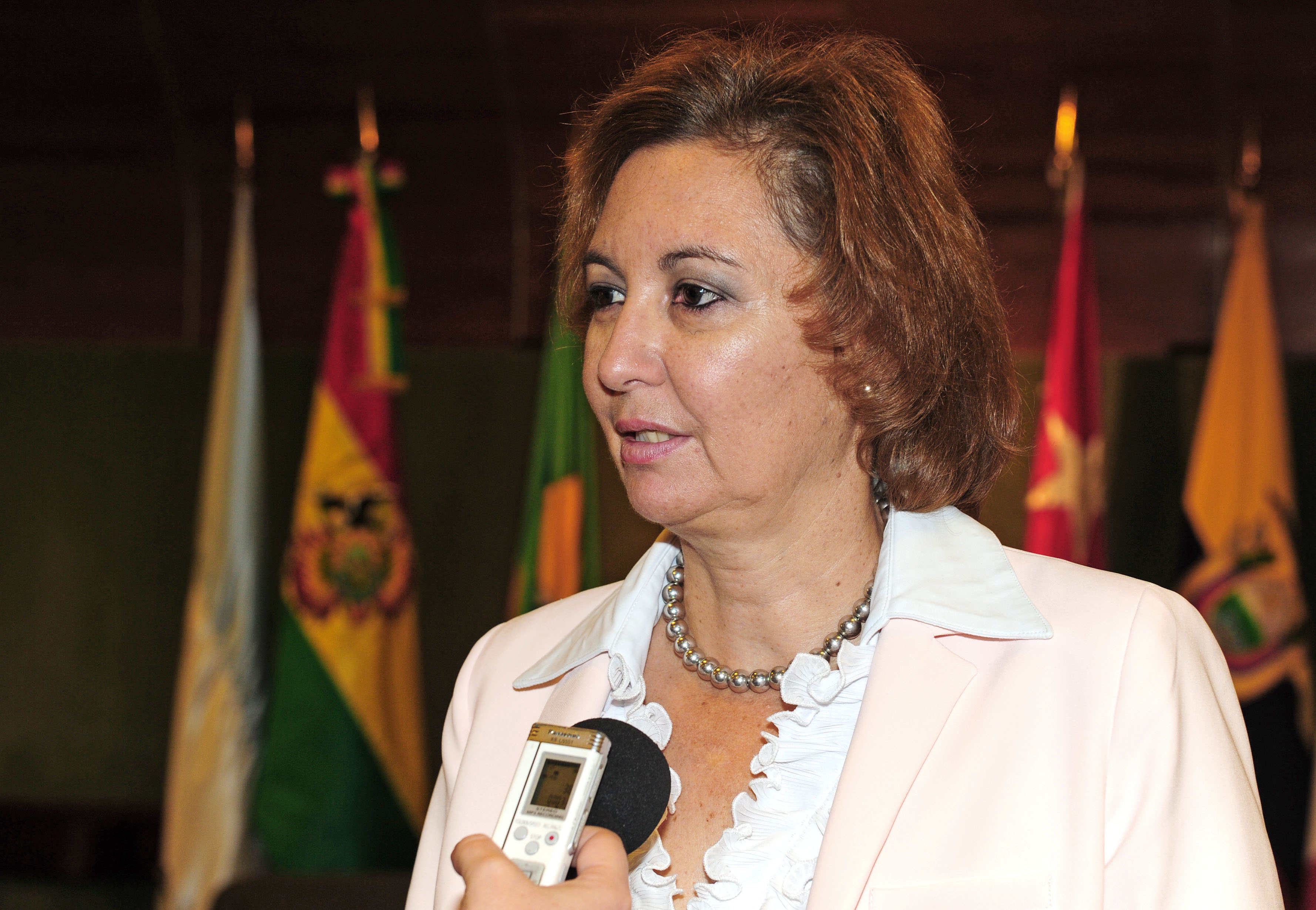 Directora general adjunta de la Organización Internacional para las Migraciones, Laura Thompson