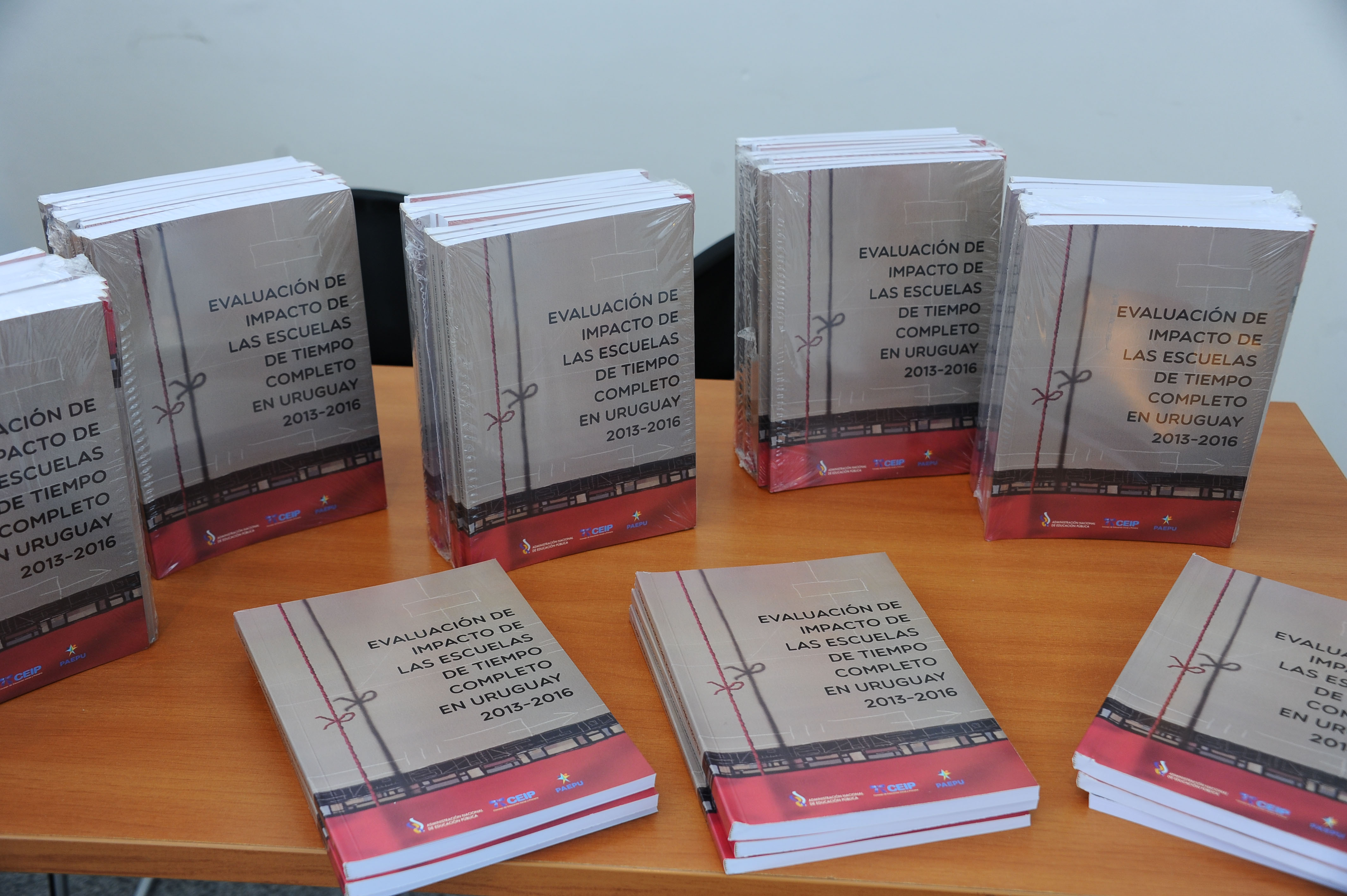 Publicación presentada