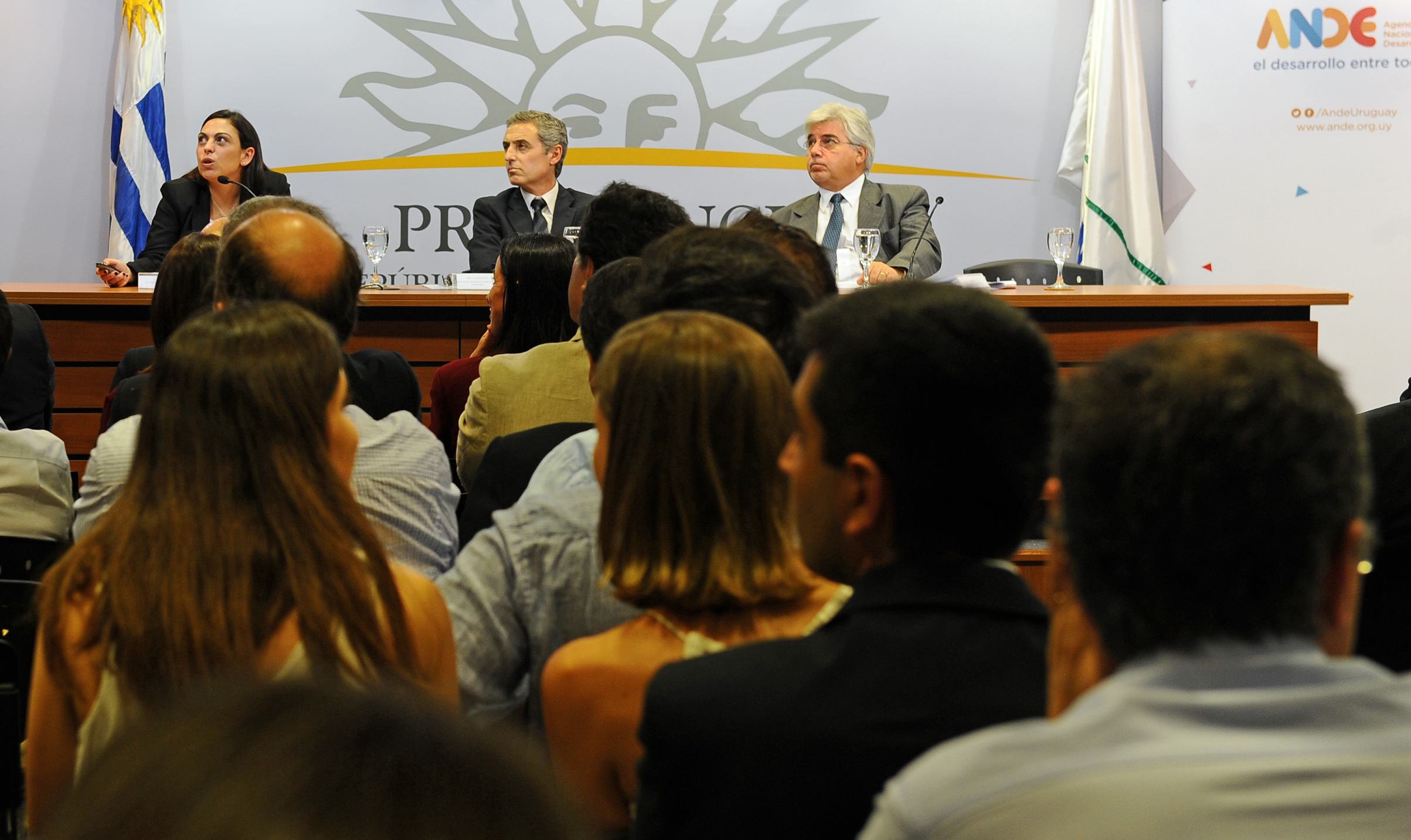 Presentación de los proyectos productivos