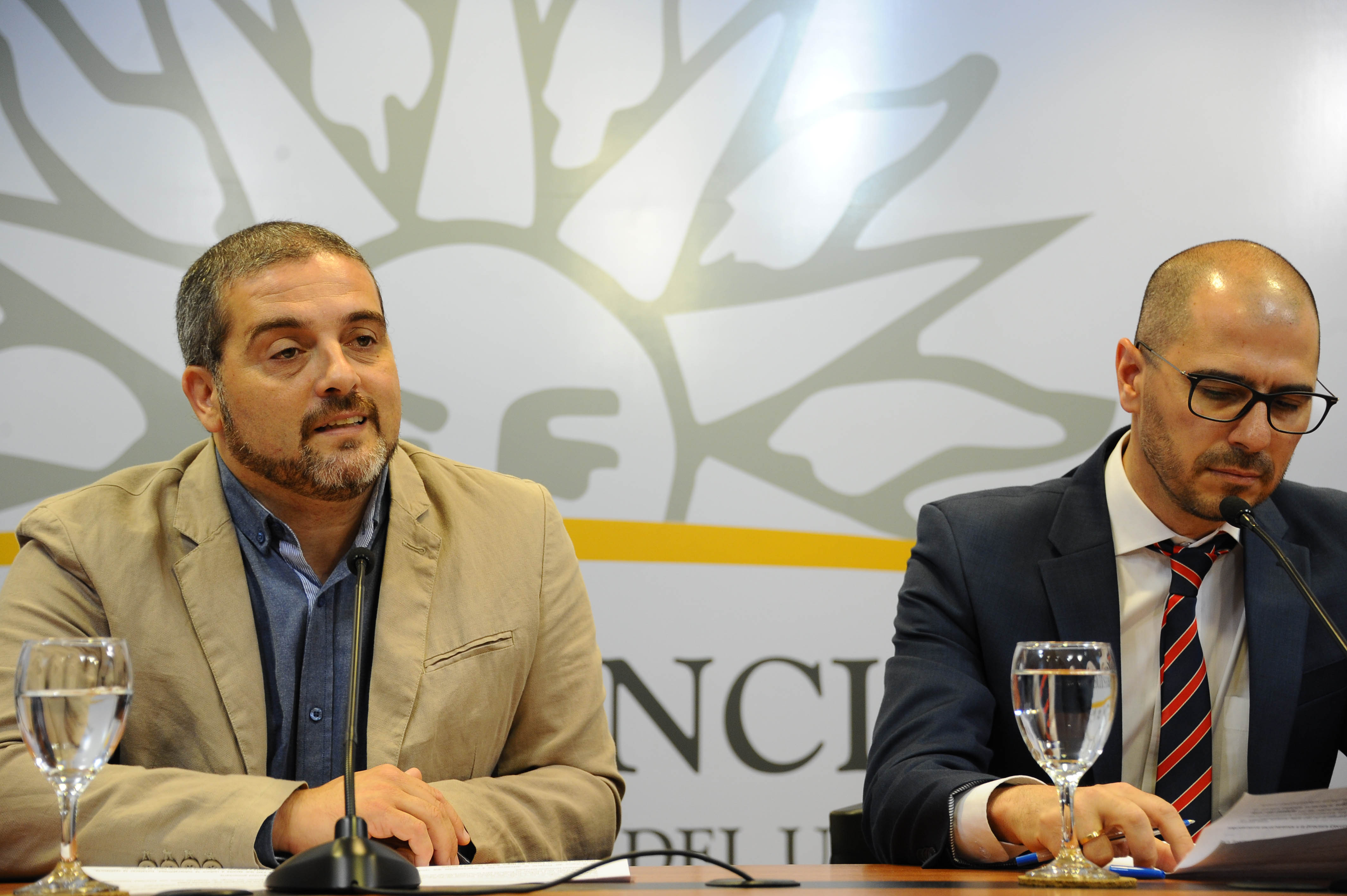 El director nacional del Sinae, Fernando Traversa