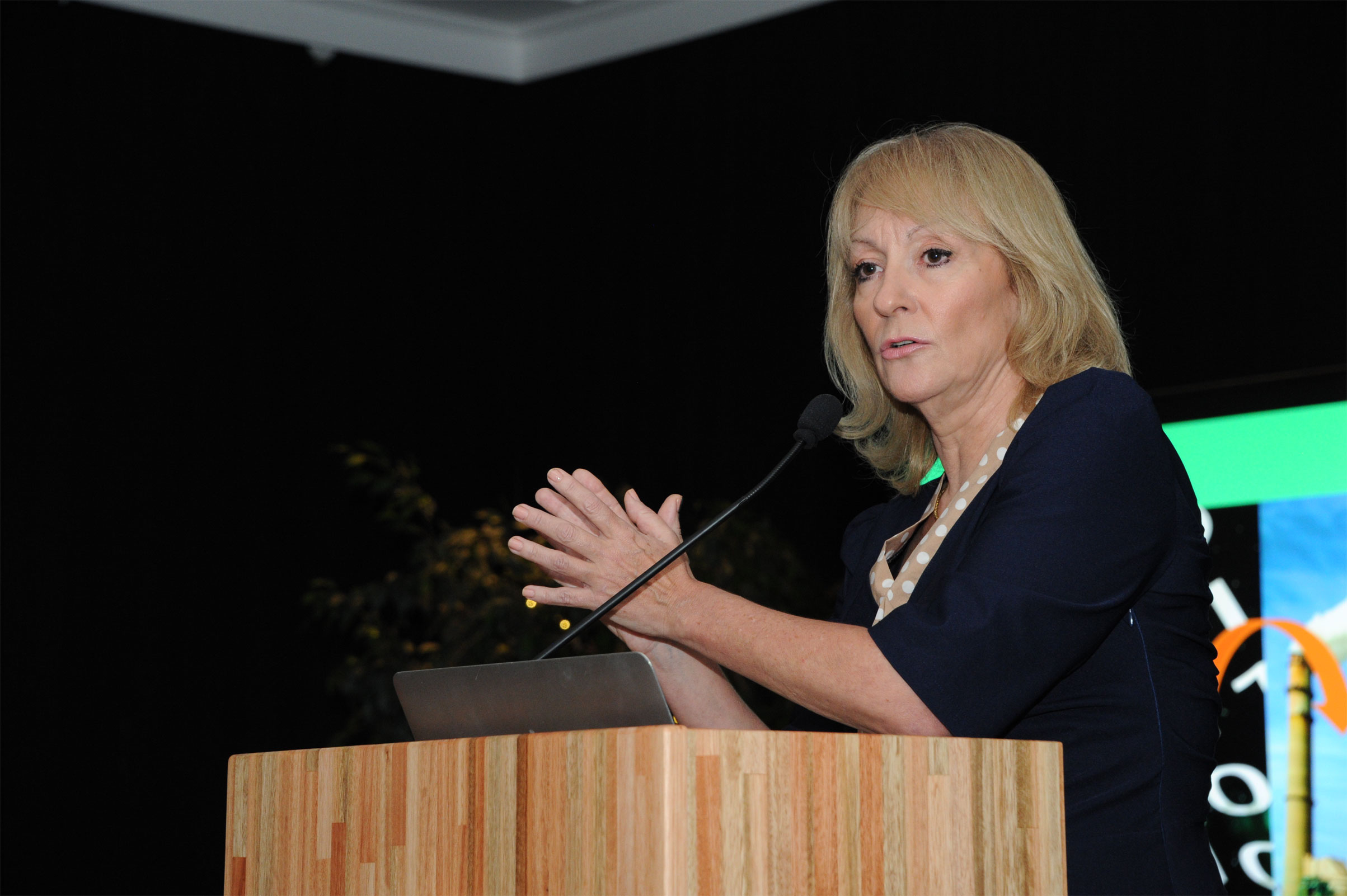 Carolina Cosse expone en Somos Uruguay