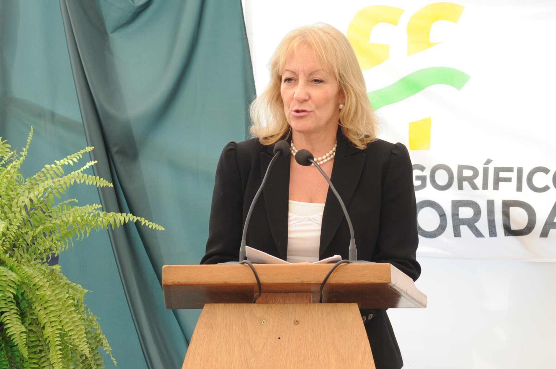 Ministra de Industria, Carolina Cosse