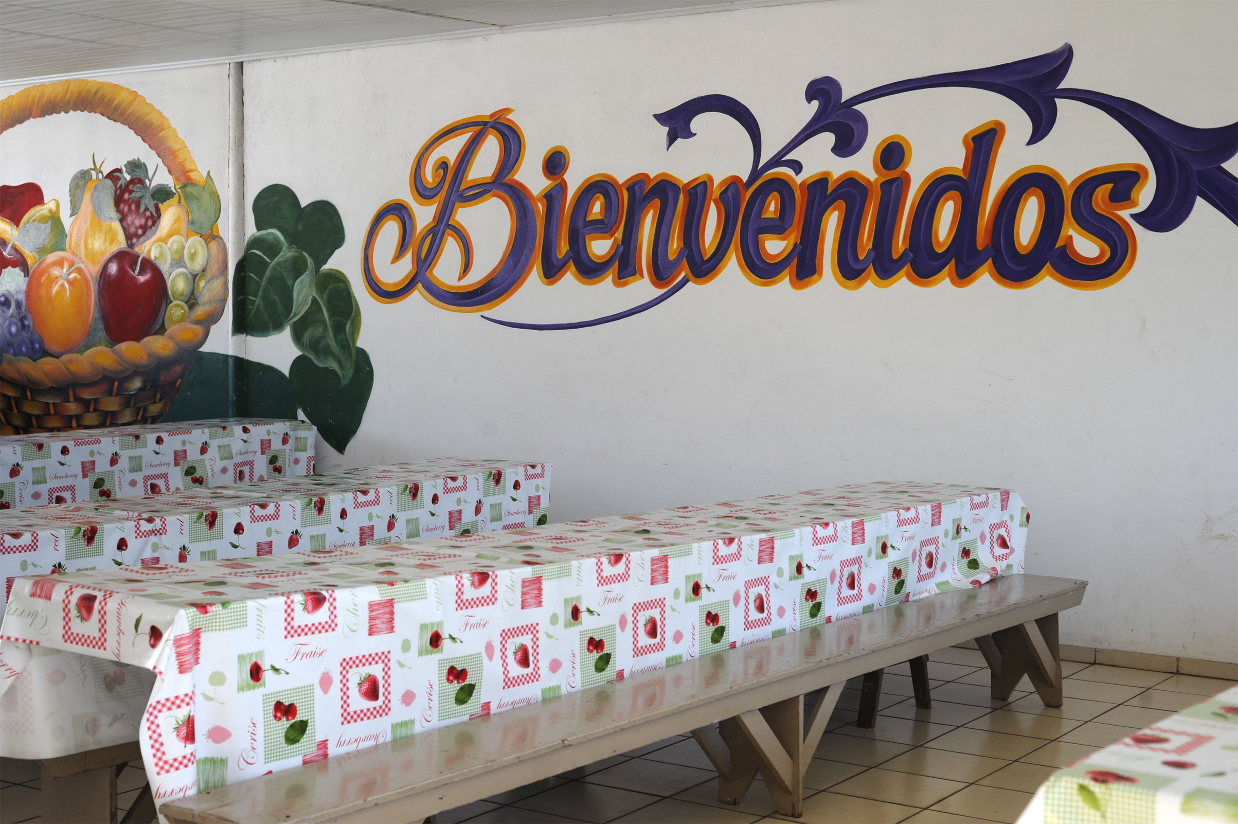 Acciones del Sistema de Cuidados, Instituto Nacional de Alimentación y Uruguay Crece Contigo, en Artigas