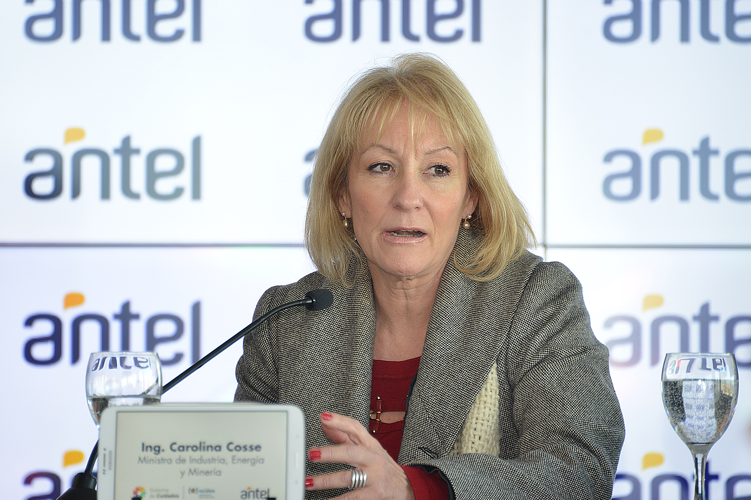 Ministra Carolina Cosse, dirigiéndose a los presentes
