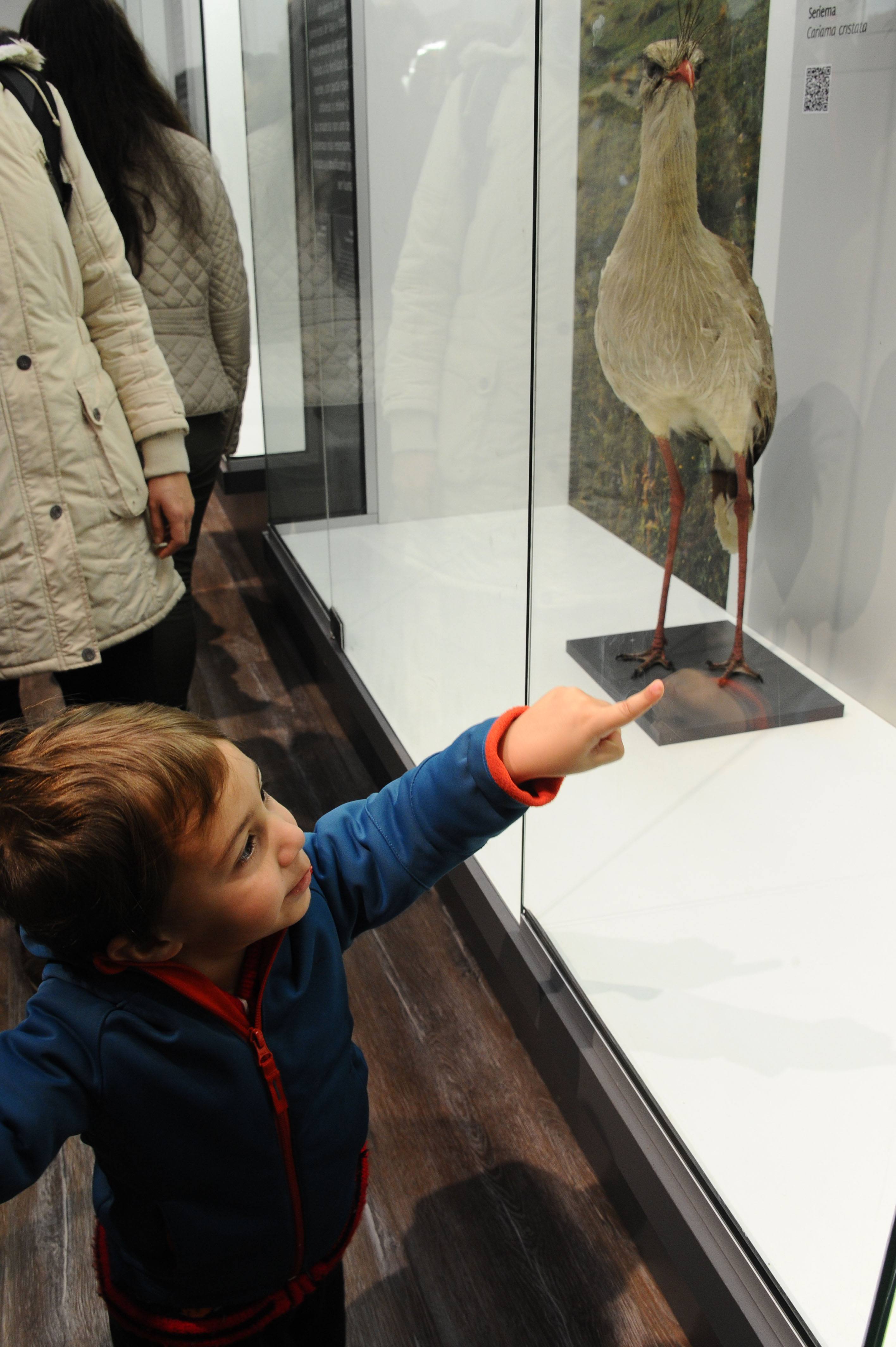 Familias visitan el museo en el día de su inauguración