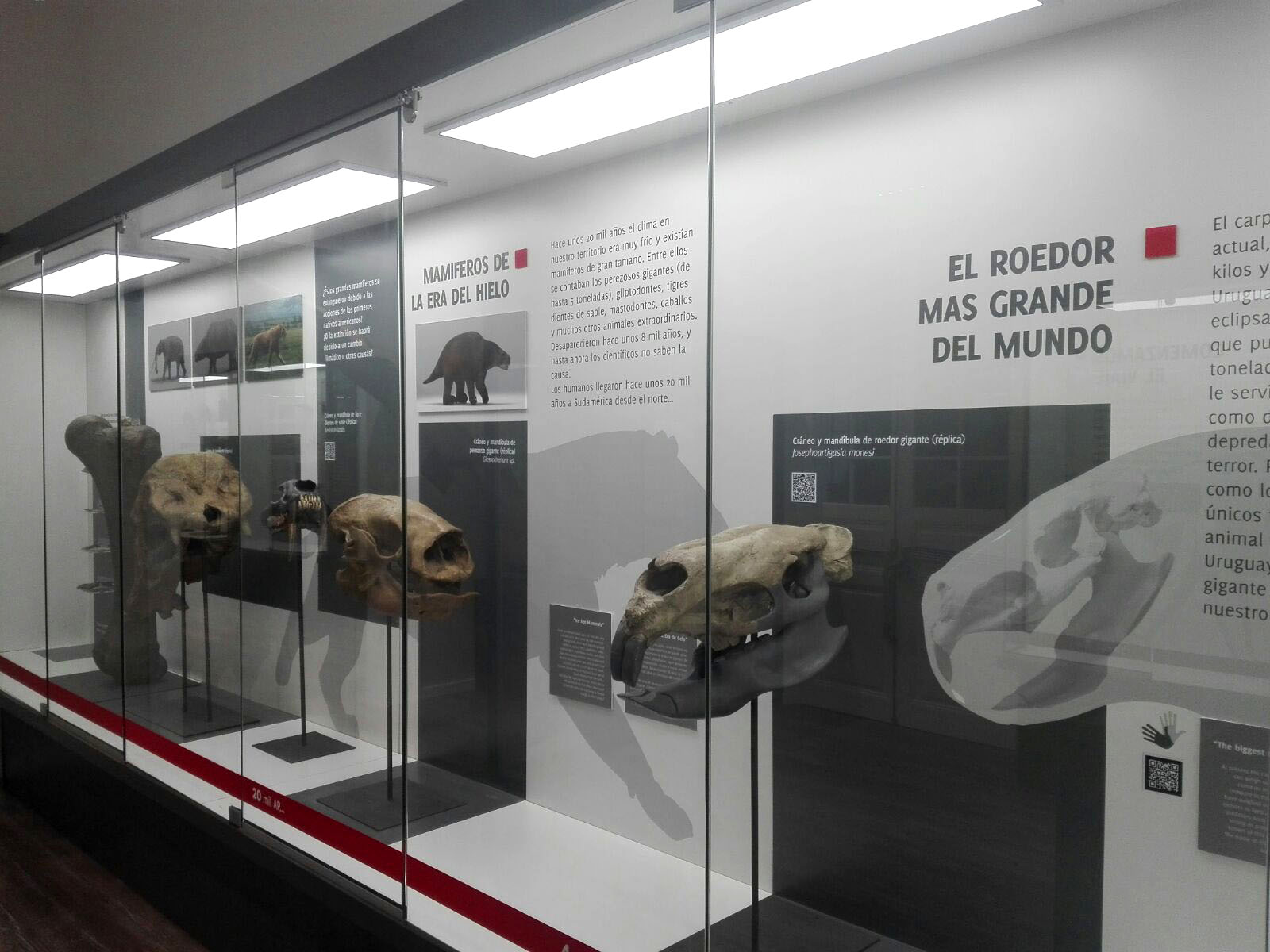 Museo Nacional de Historia Natural