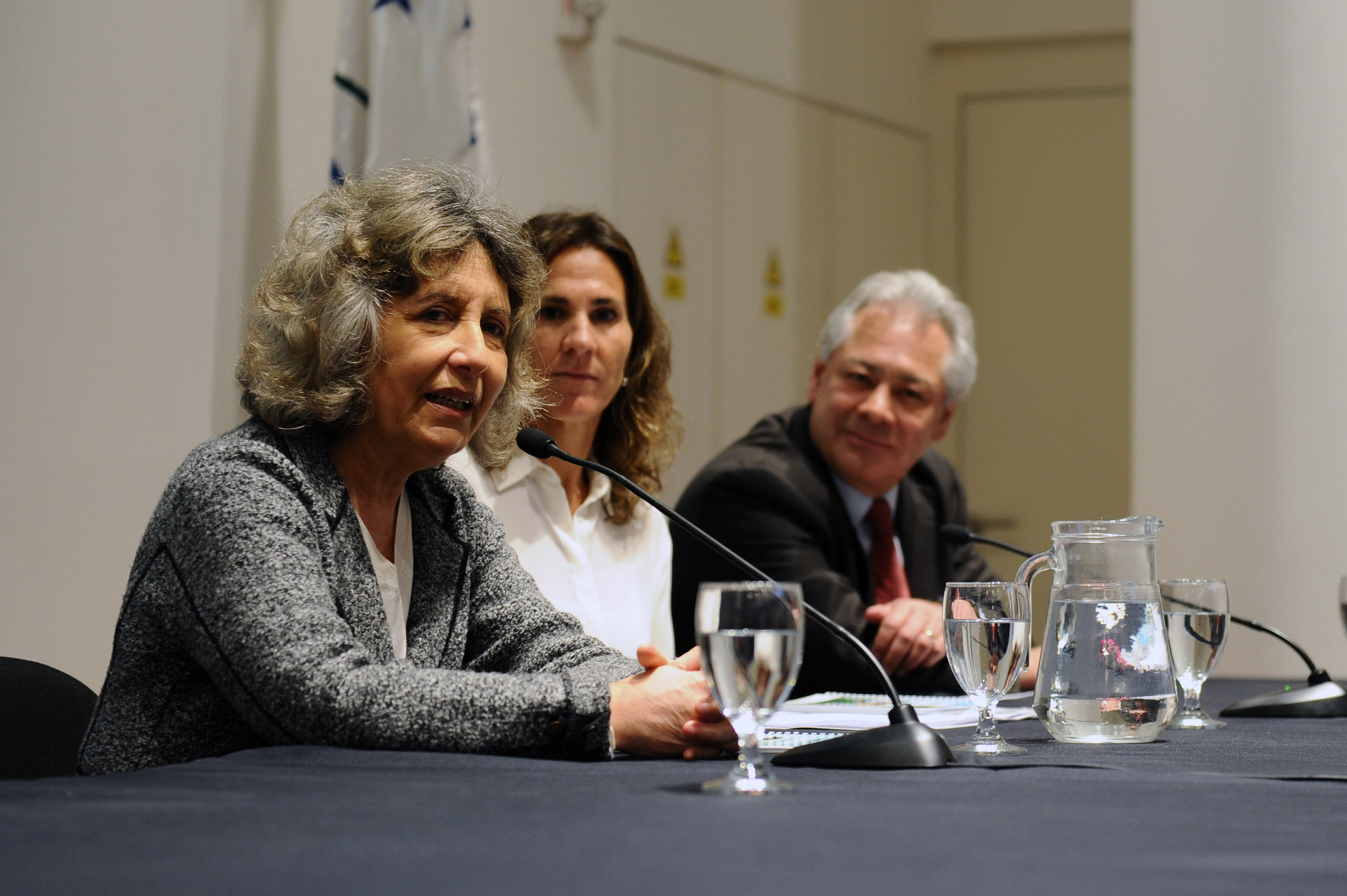 Directora del Instituto Nacional de las Mujeres, Mariela Mazotti