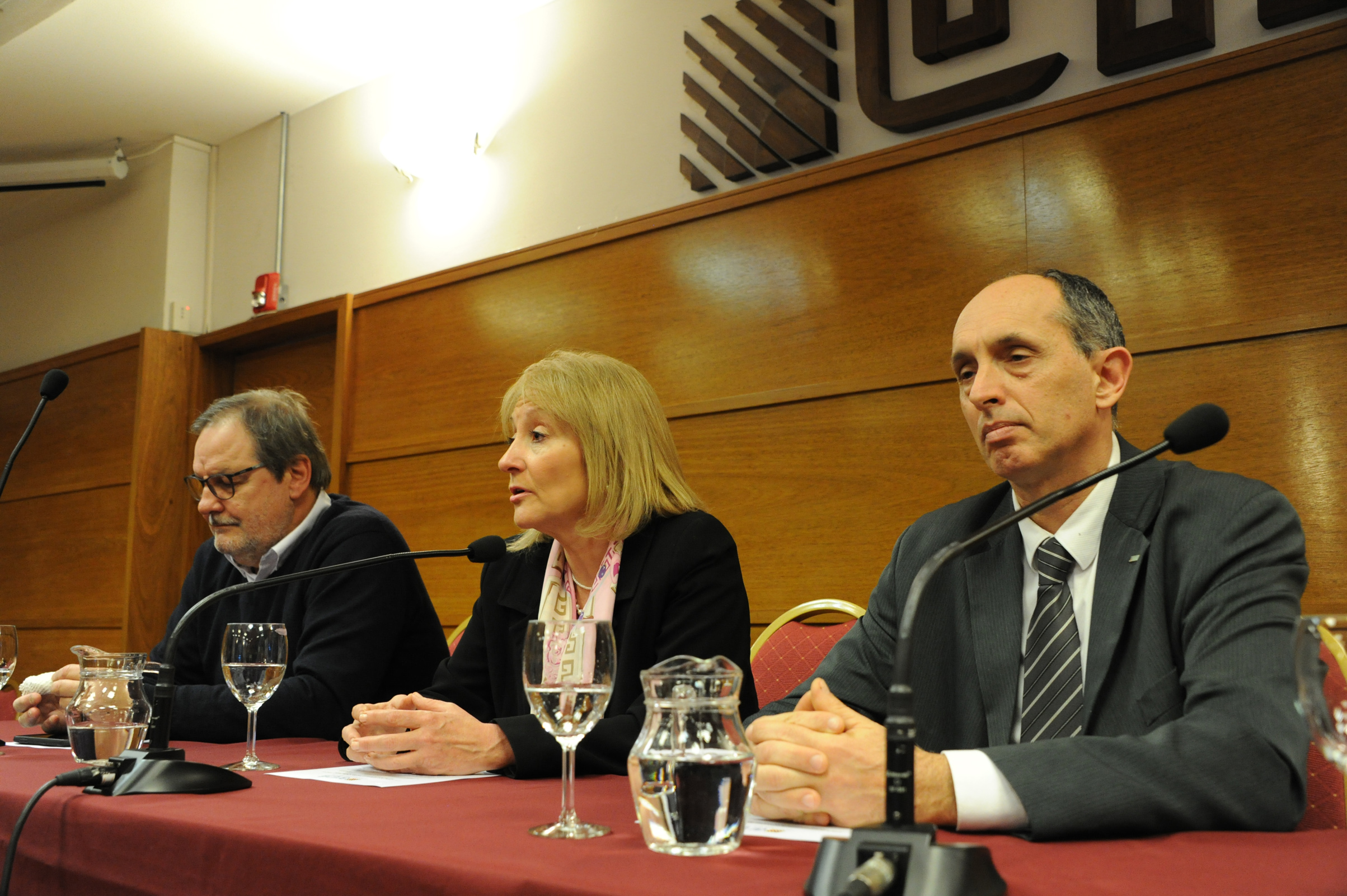 Ministra de Industria, Energía y Minería, Carolina Cosse, haciendo uso de la palabra