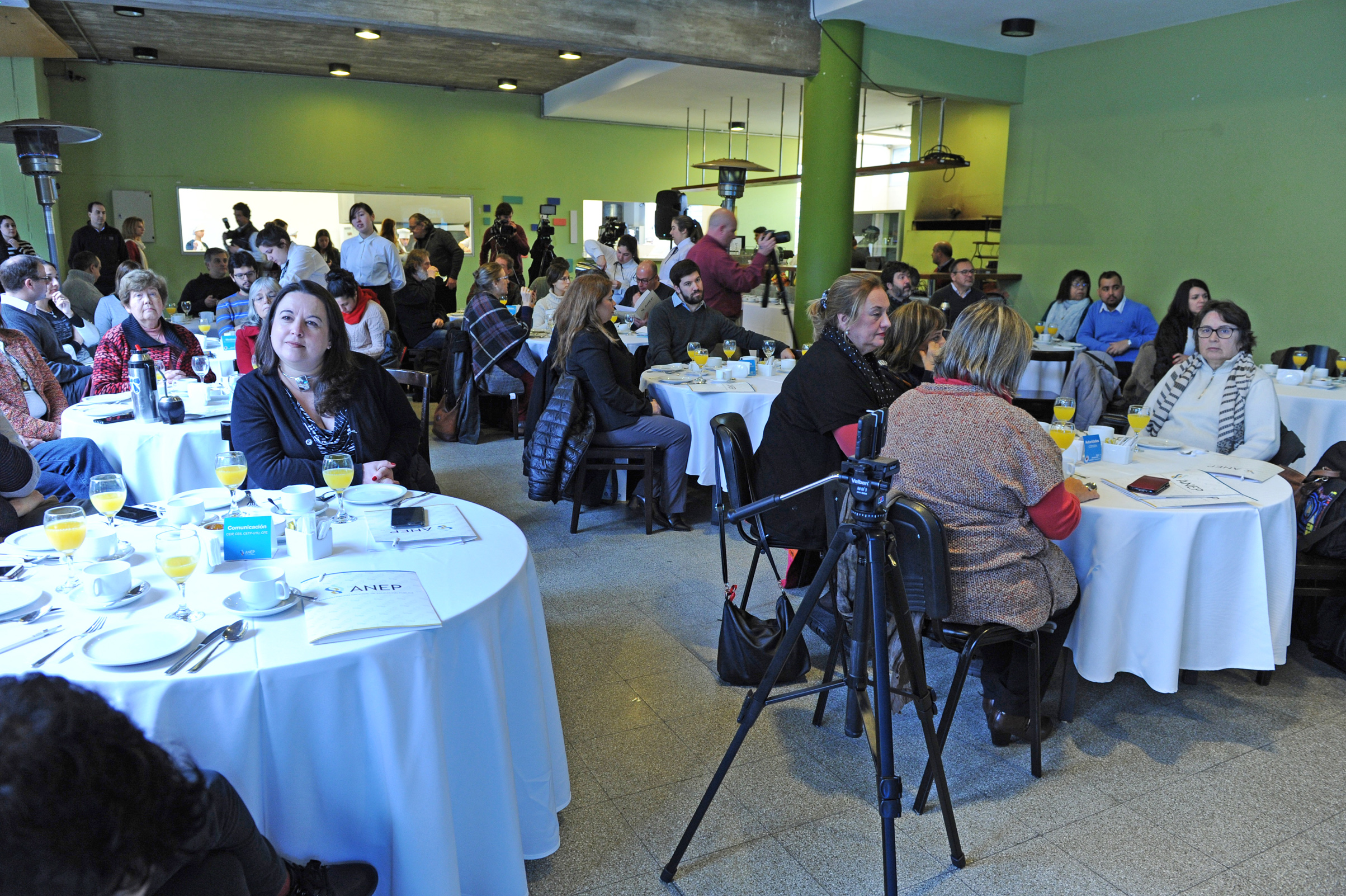 Asistentes a la actividad