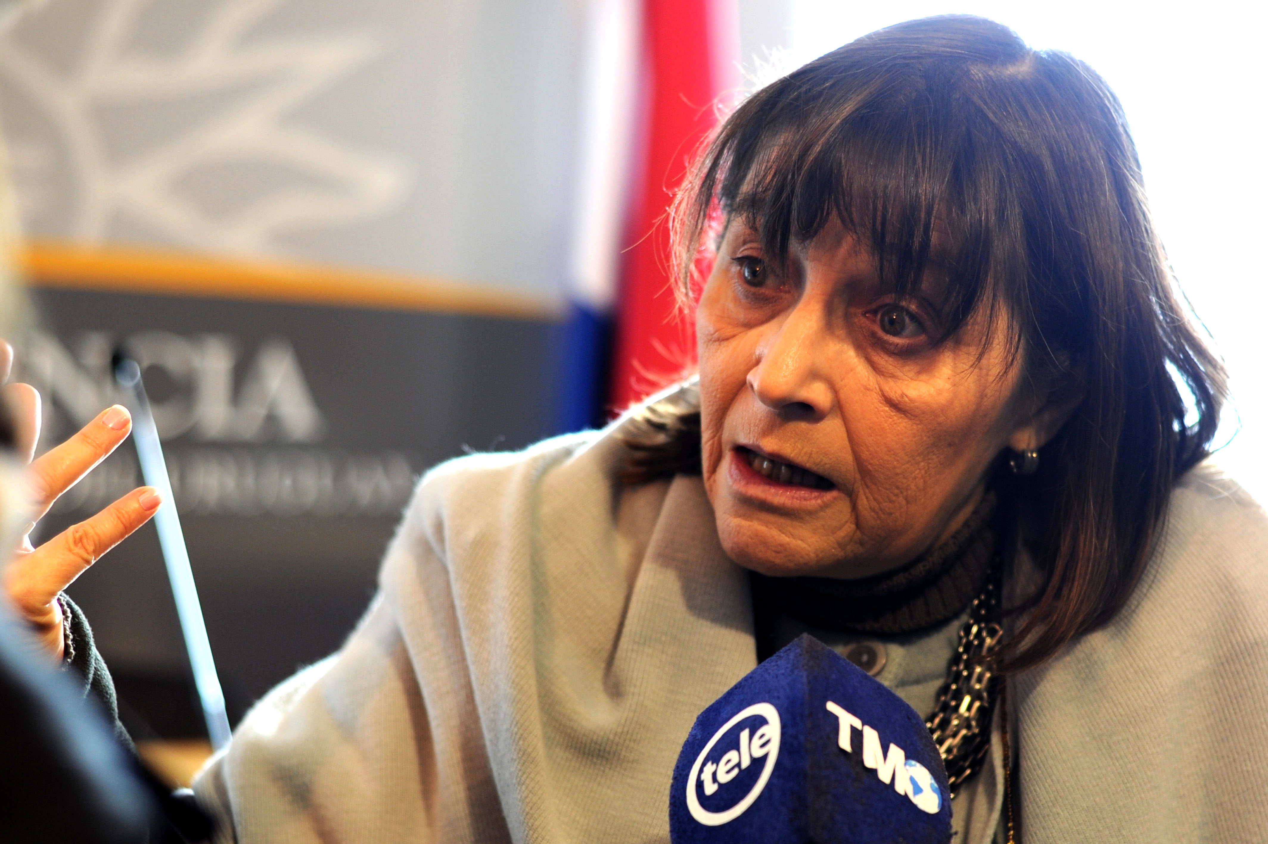 Secretaria general de la Asociación de Maestros de Montevideo (Ademu), Daysi Iglesias, en declaraciones a la prensa