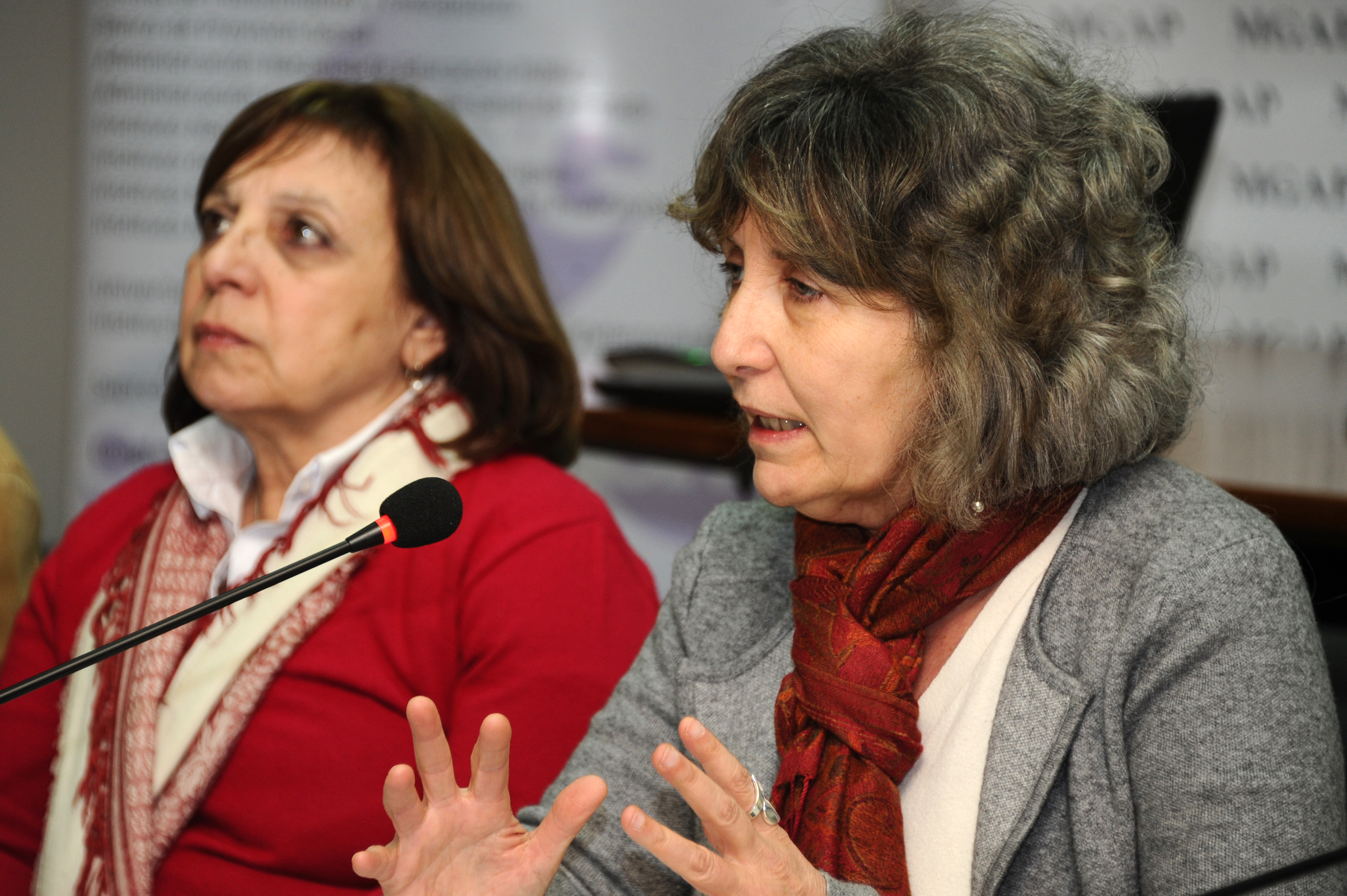Segunda sesión del Consejo Nacional de Género