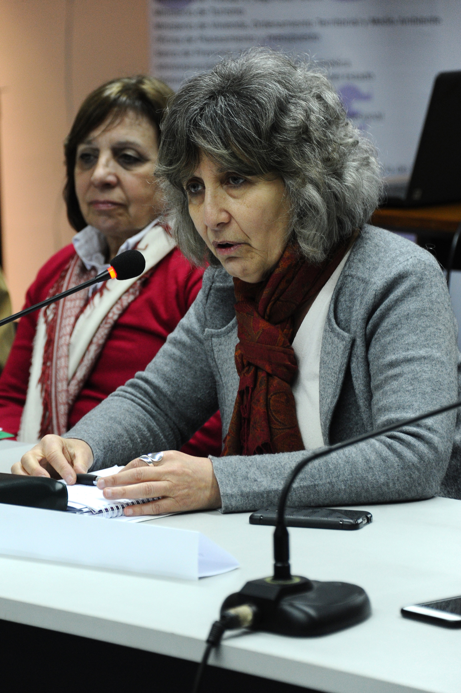 Segunda sesión del Consejo Nacional de Género