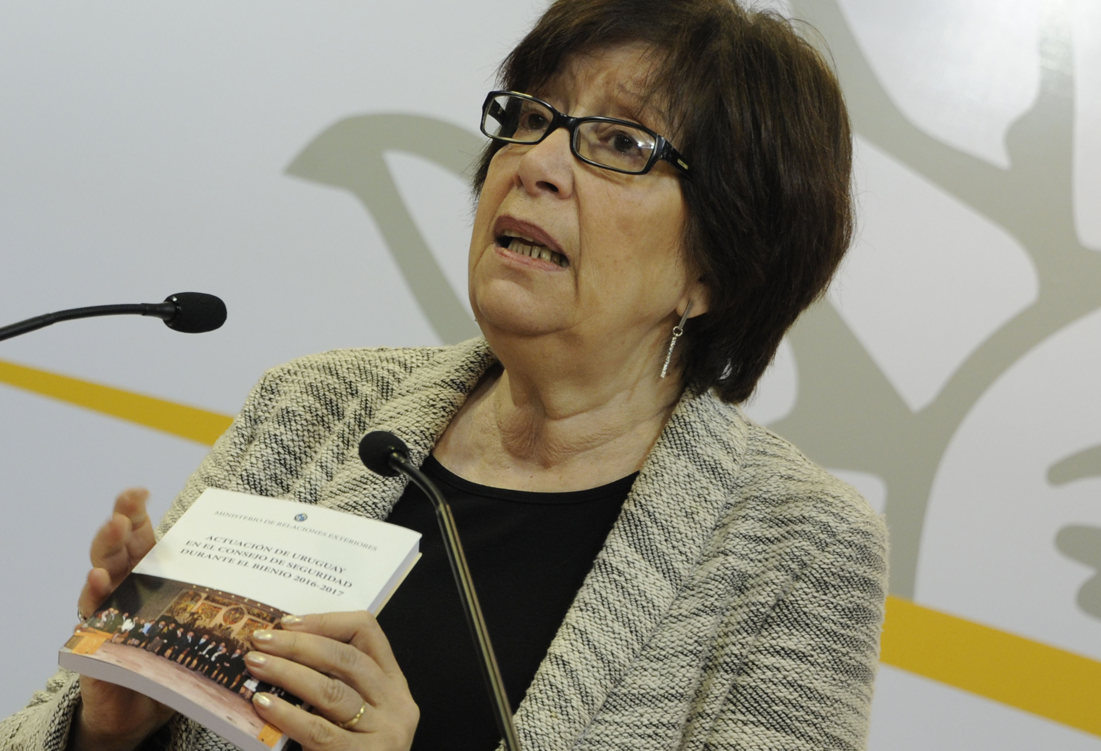 Ministra de Desarrollo Social, Marina Arismendi