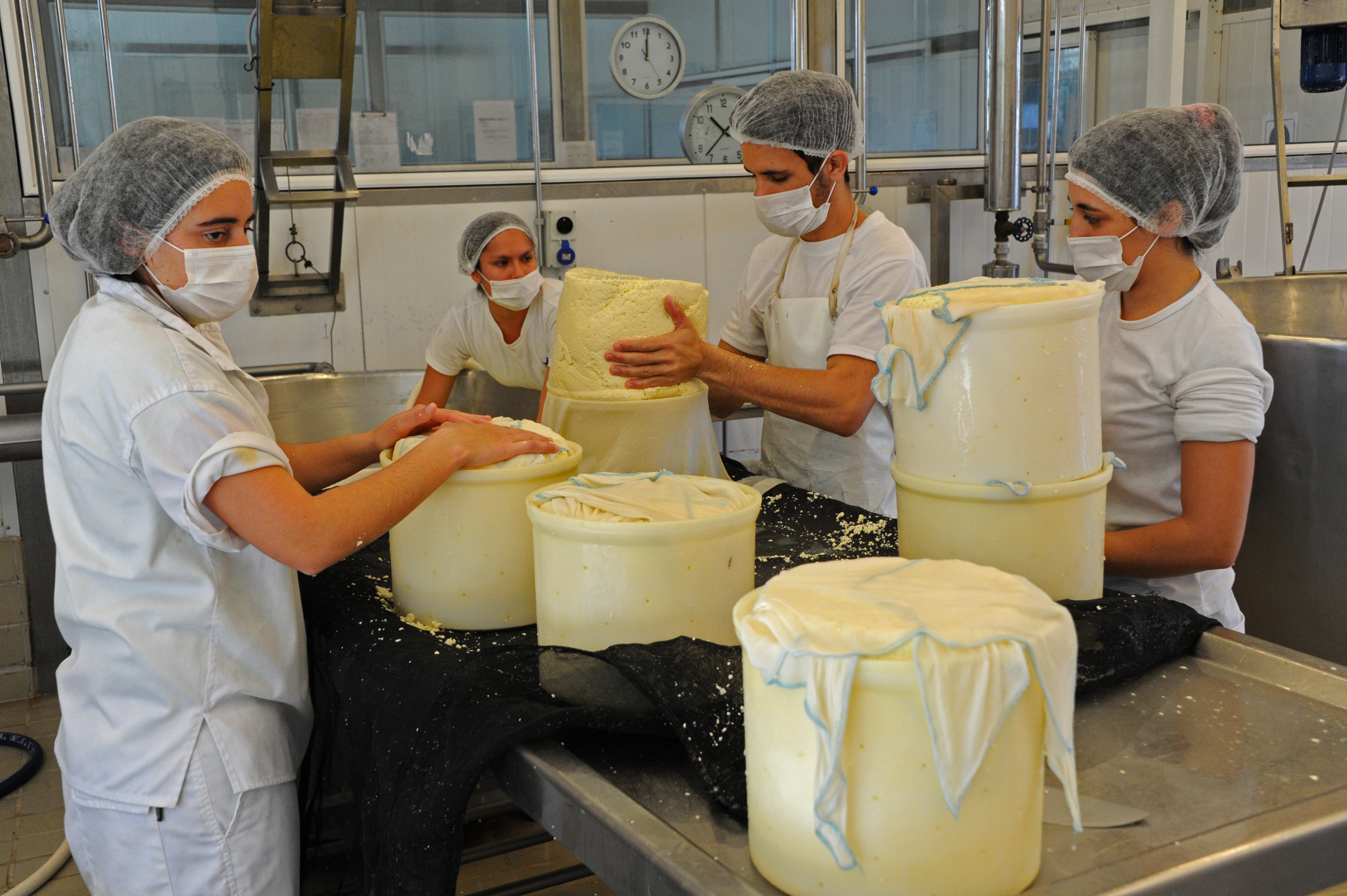 Preparación de quesos por parte de alumnos de la Escuela de Lechería de Nueva Helvecia