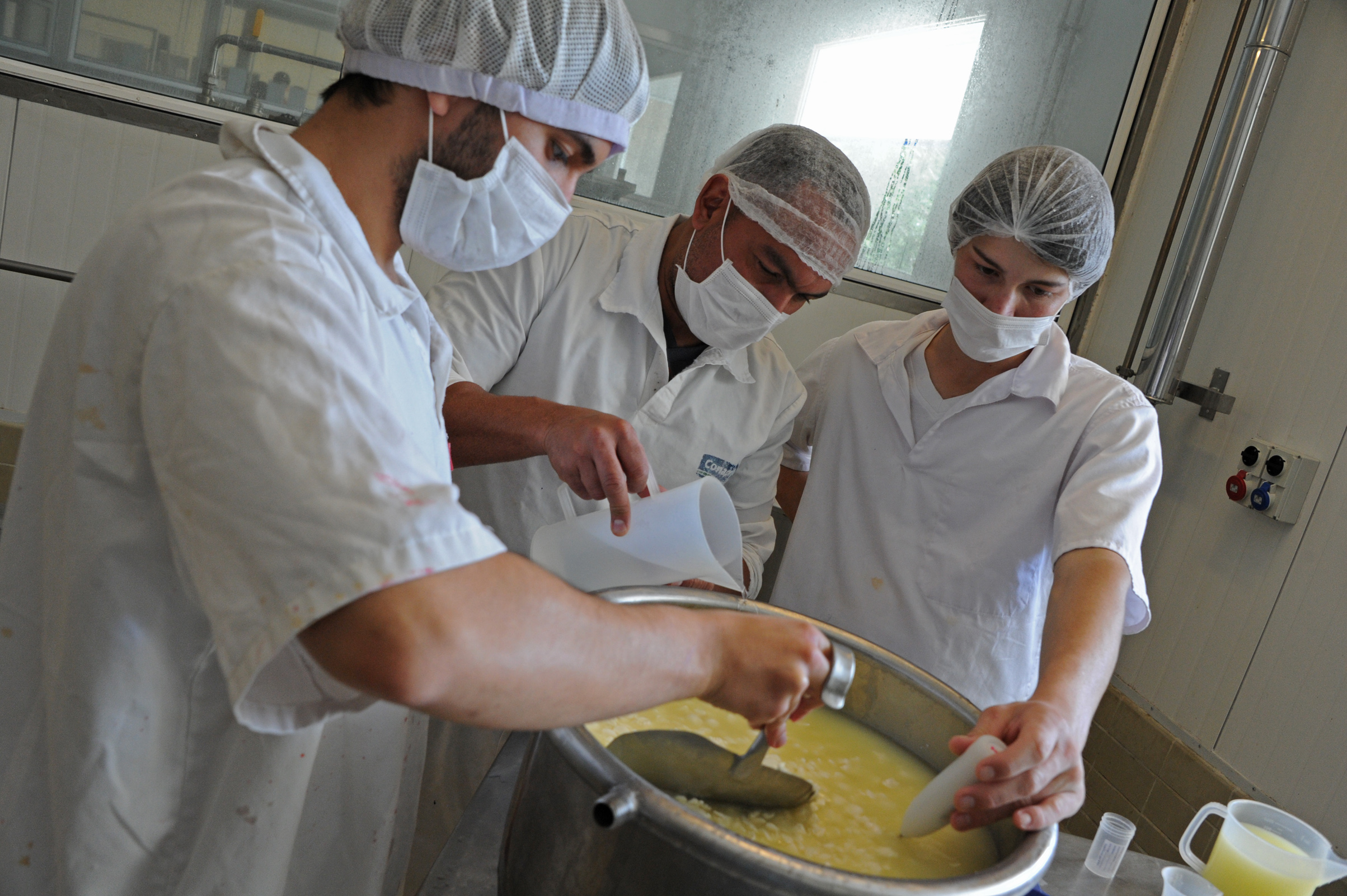 Preparación de quesos por parte de alumnos de la Escuela de Lechería de Nueva Helvecia
