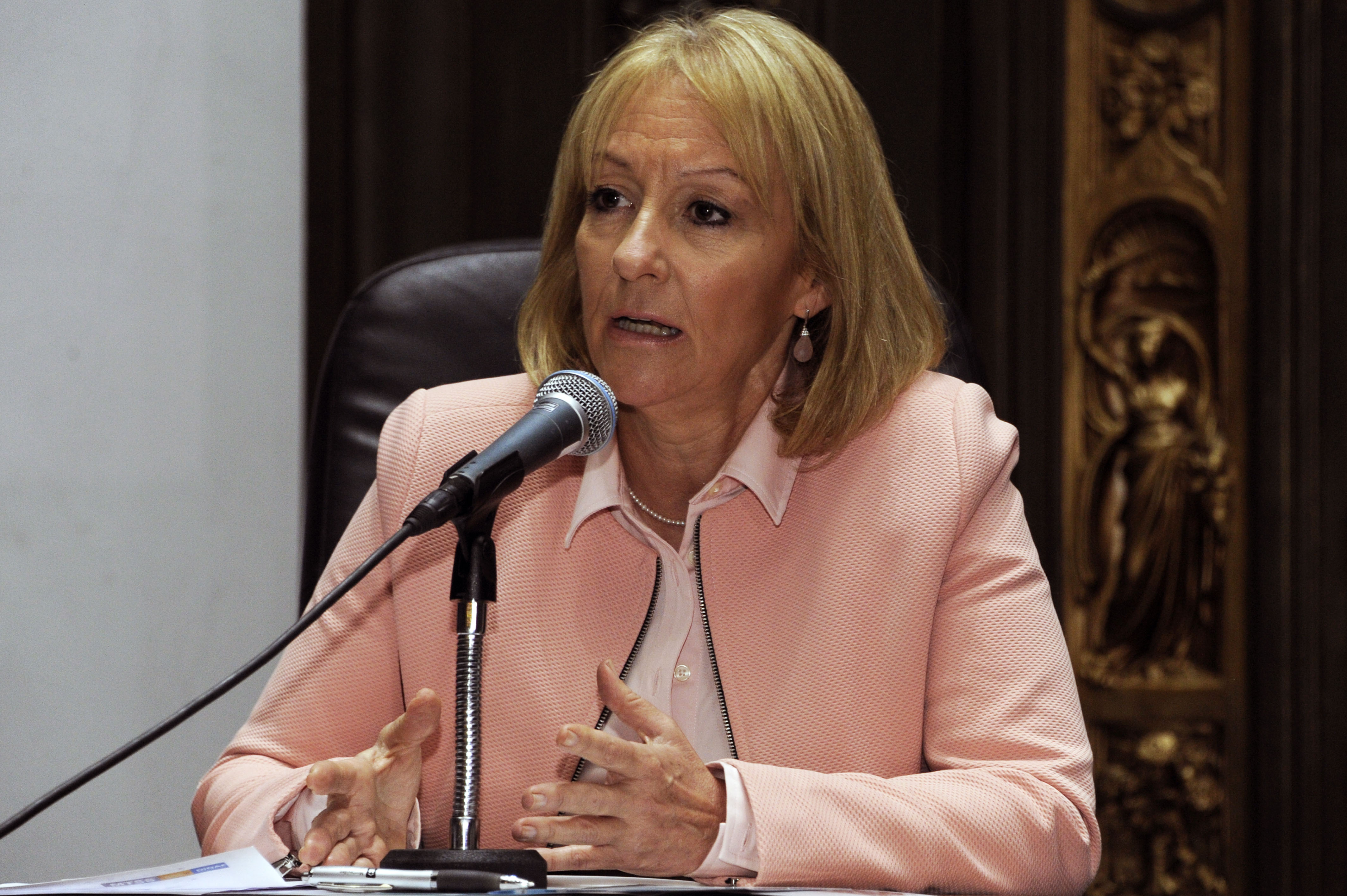 Ministra de Industria, Carolina Cosse