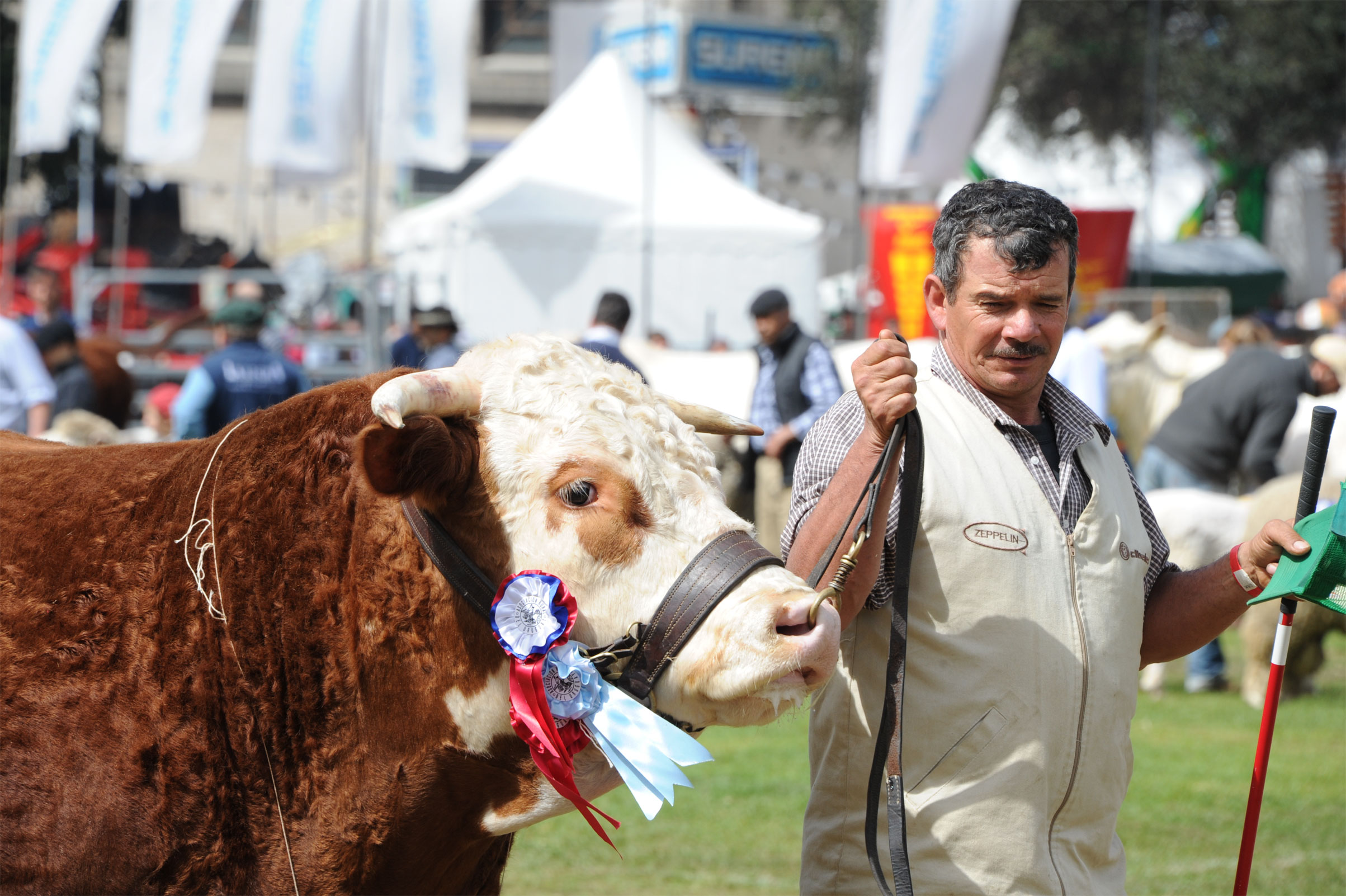 Cierre de la 113.ª Exposición de la Rural del Prado