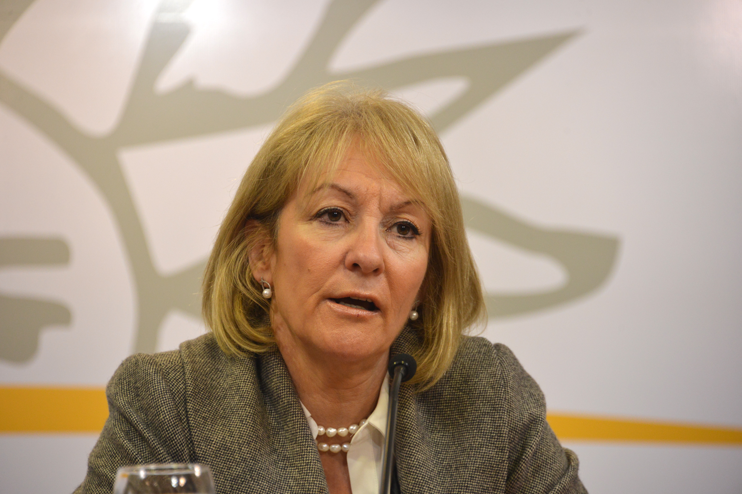 Ministra Carolina Cosse, dirigiéndose a los presentes