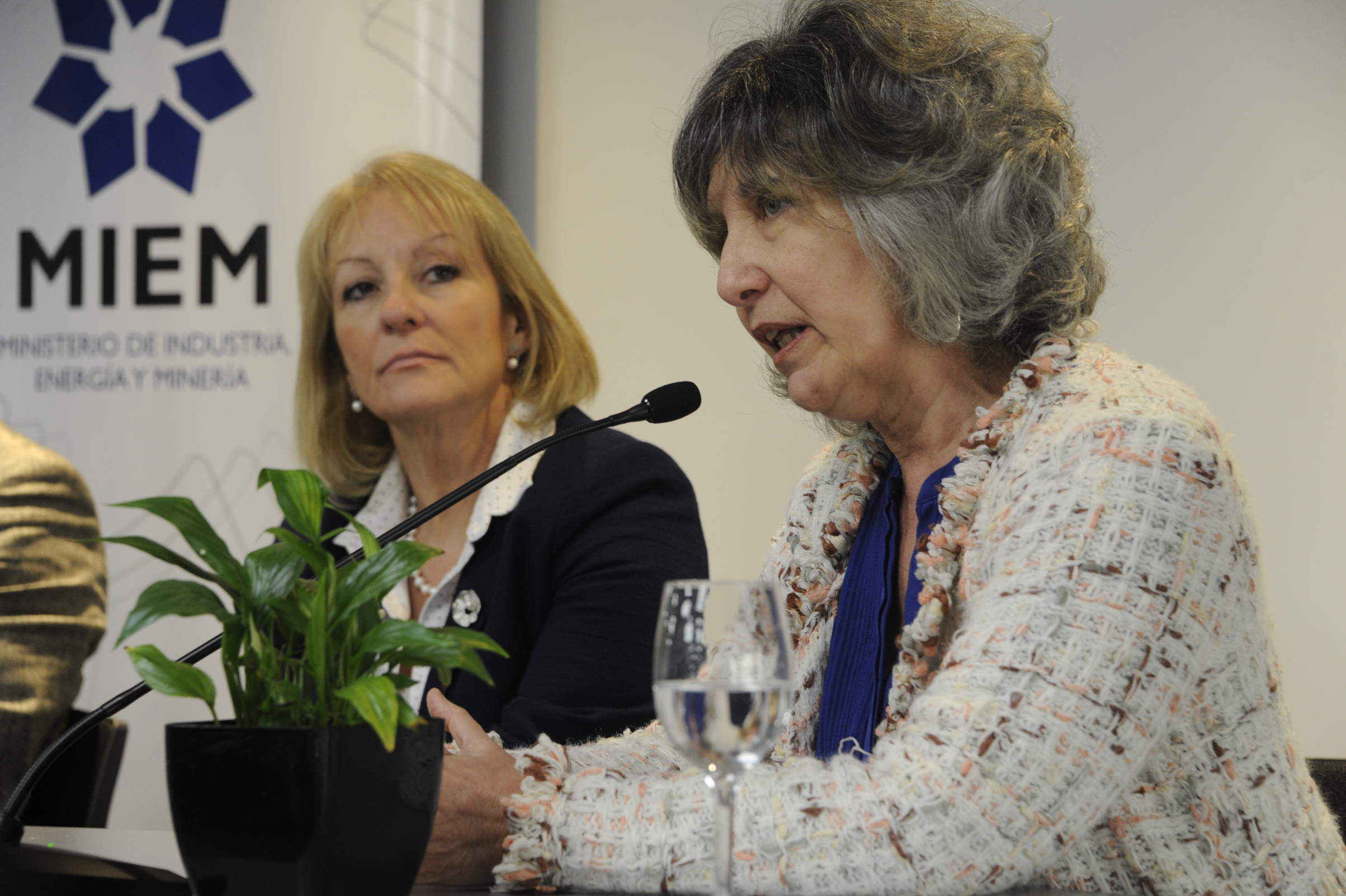 Directora de Instituto Nacional de las Mujeres (Inmujeres), Mariela Mazzotti, dirigiéndose a los presentes