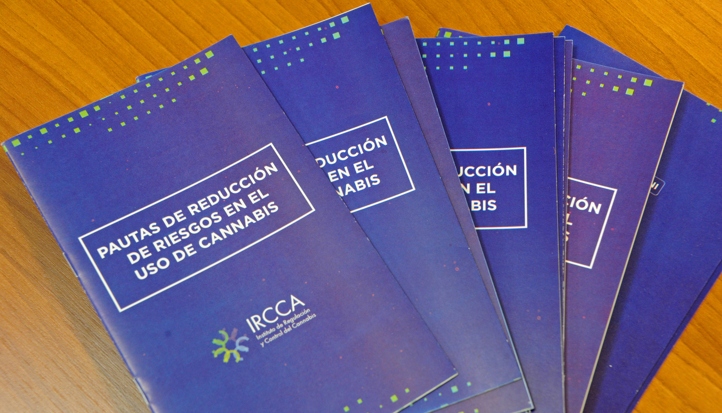 Presentación de “Pautas para la reducción de riesgos en el uso del cannabis”