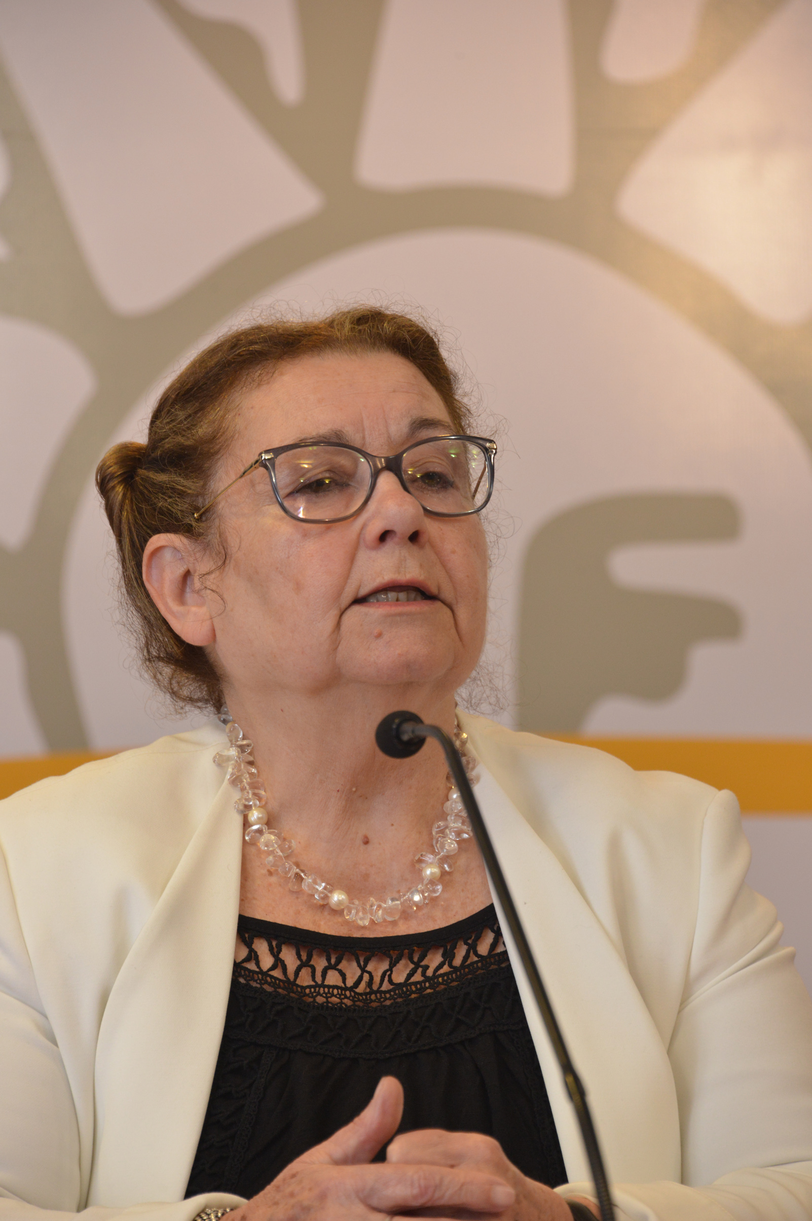 Lanzamiento de la 24.ª edición del Día del Patrimonio