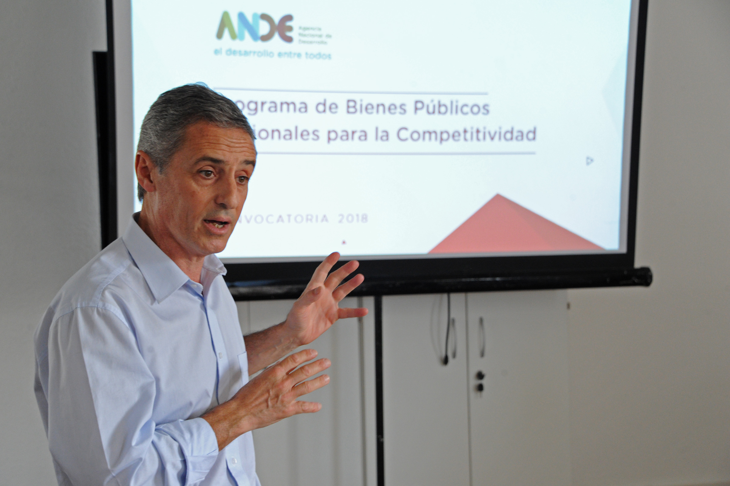Presidente de la ANDE, Martín Dibarboure, haciendo uso de la palabra