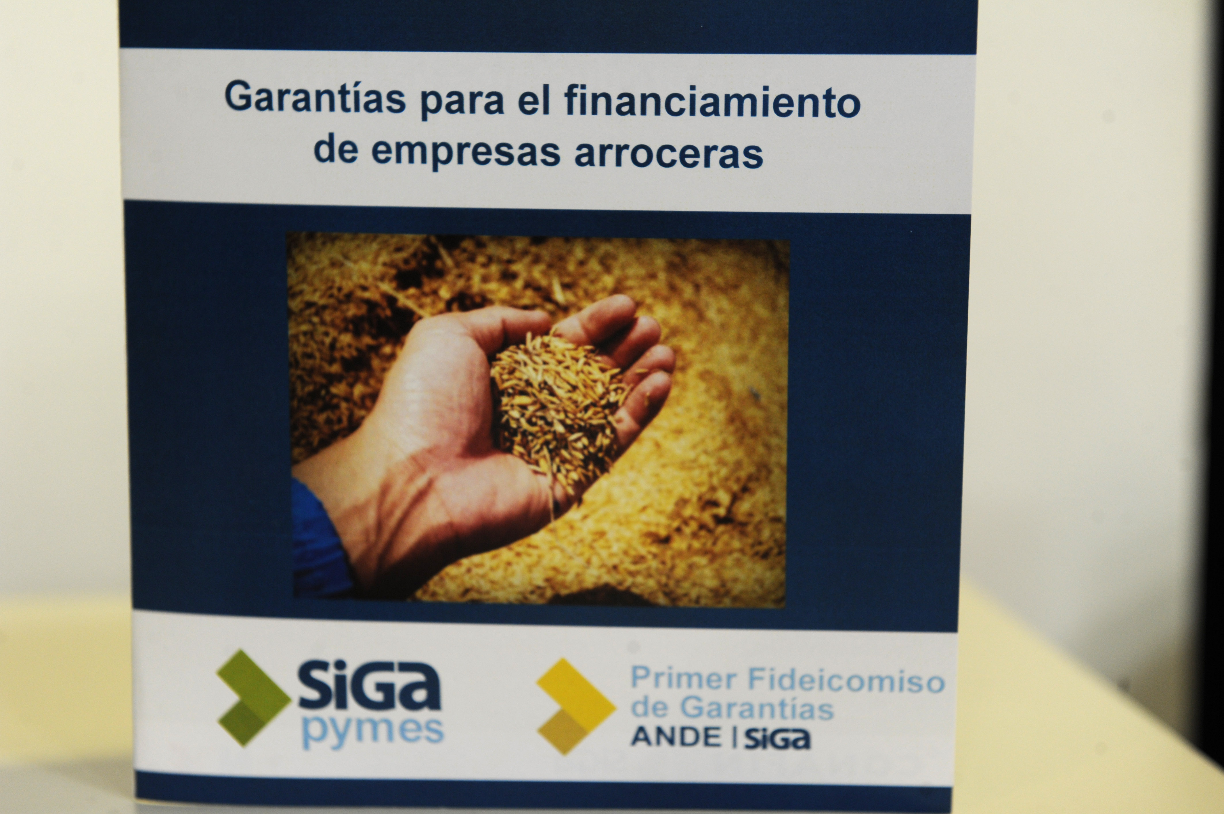 Enzo Benech y Martin Dibarboure encabezan el lanzamiento de la línea de garantía para arroceros de ANDE