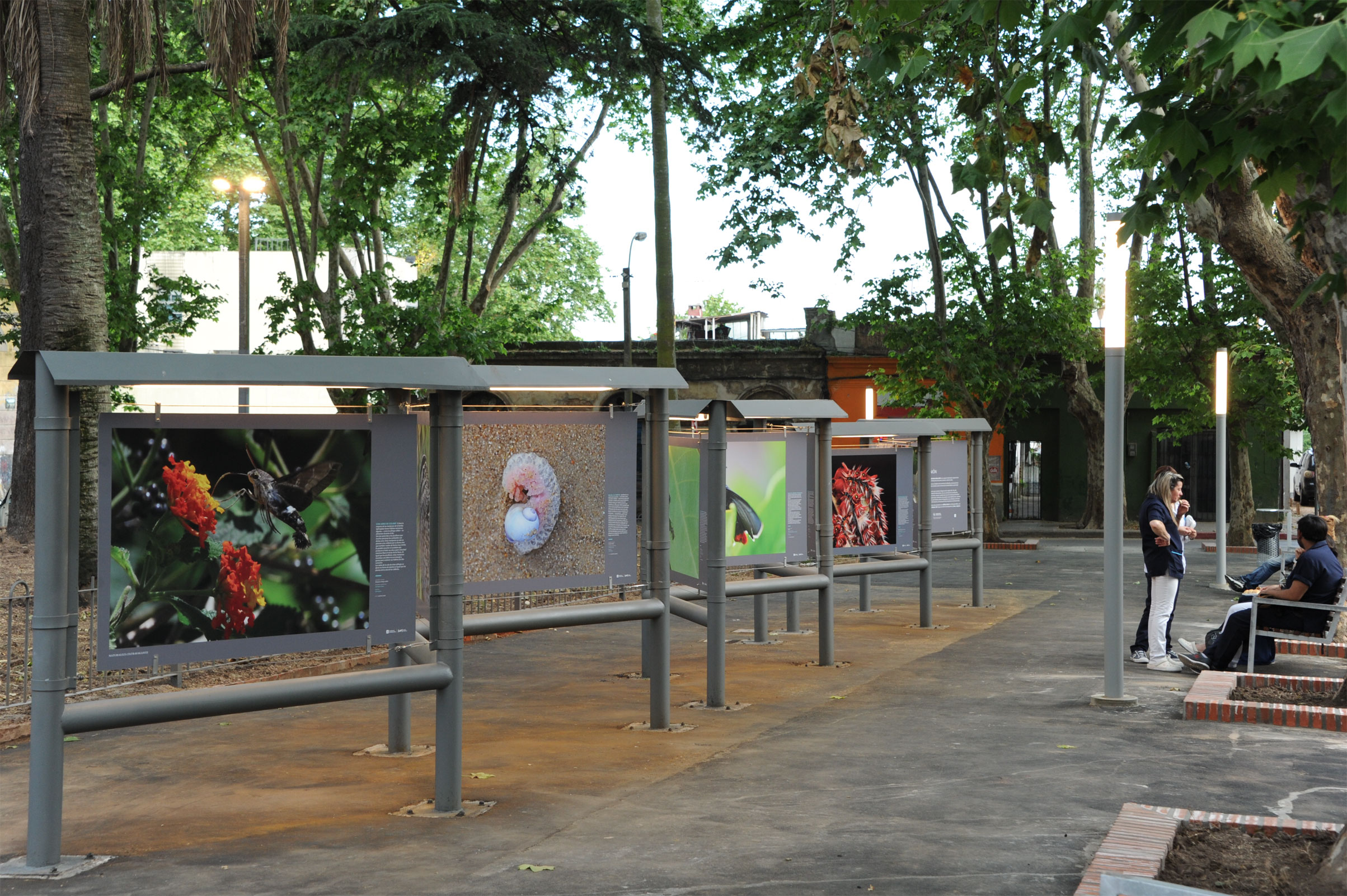 Inauguración de obras en Plaza de la Restauración y Paseo Miró, intervenciones en barrio La Unión
