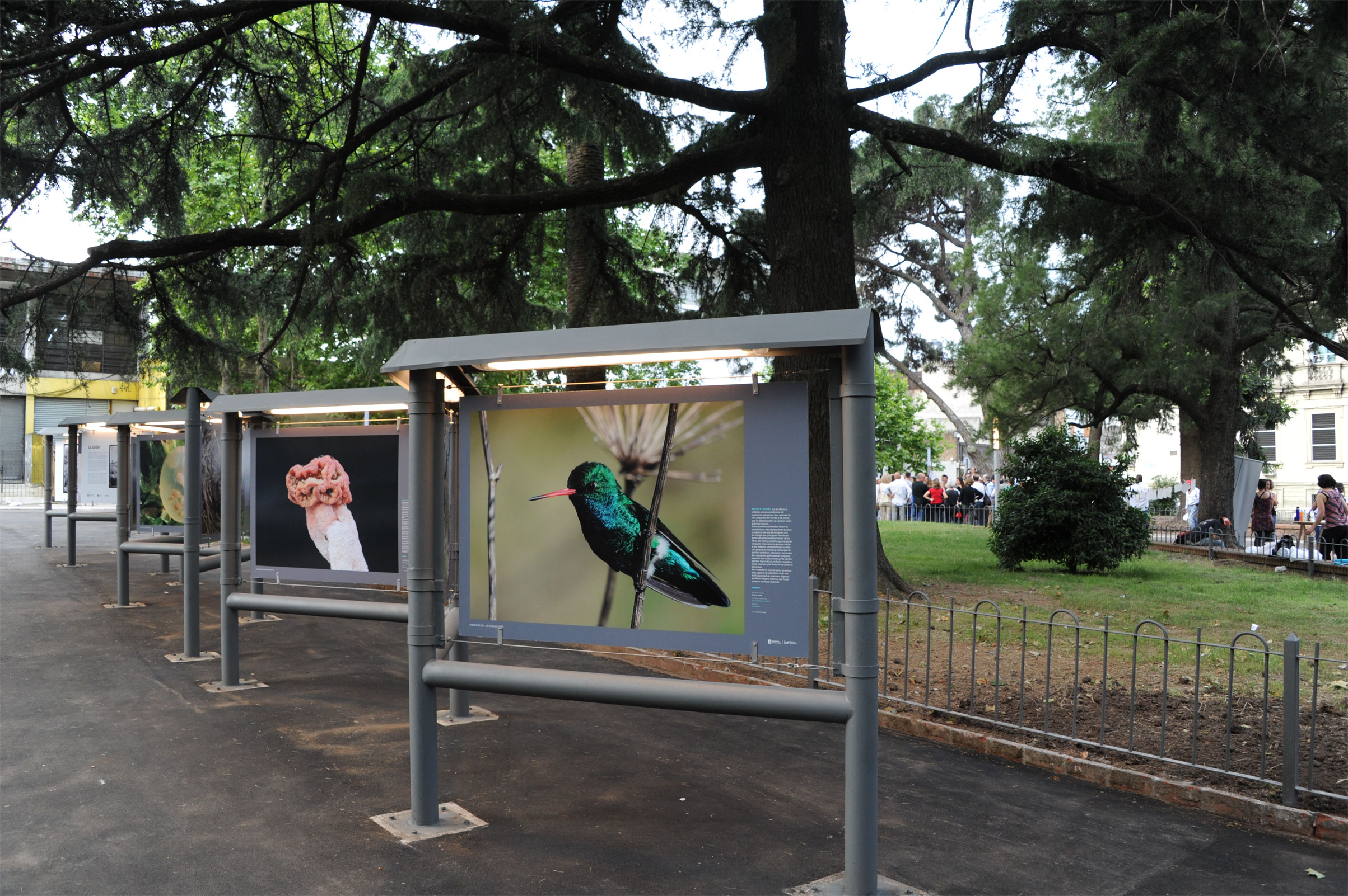 Inauguración de obras en Plaza de la Restauración y Paseo Miró, intervenciones en barrio La Unión