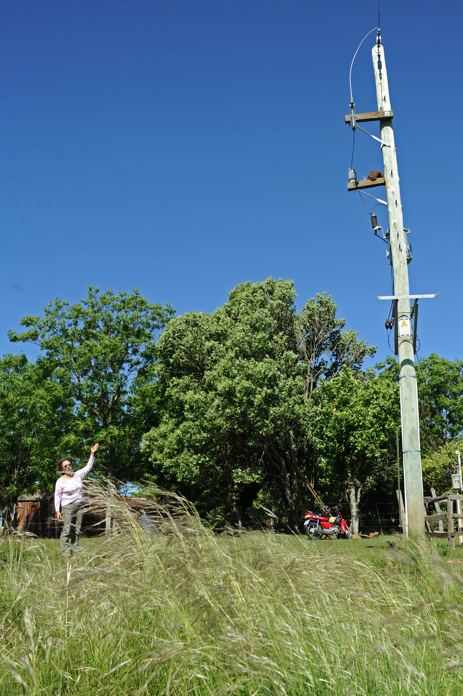 Electrificación rural llega al interior profundo, en este caso mejora calidad de vida a vecinos de Corral de Piedras en Salto