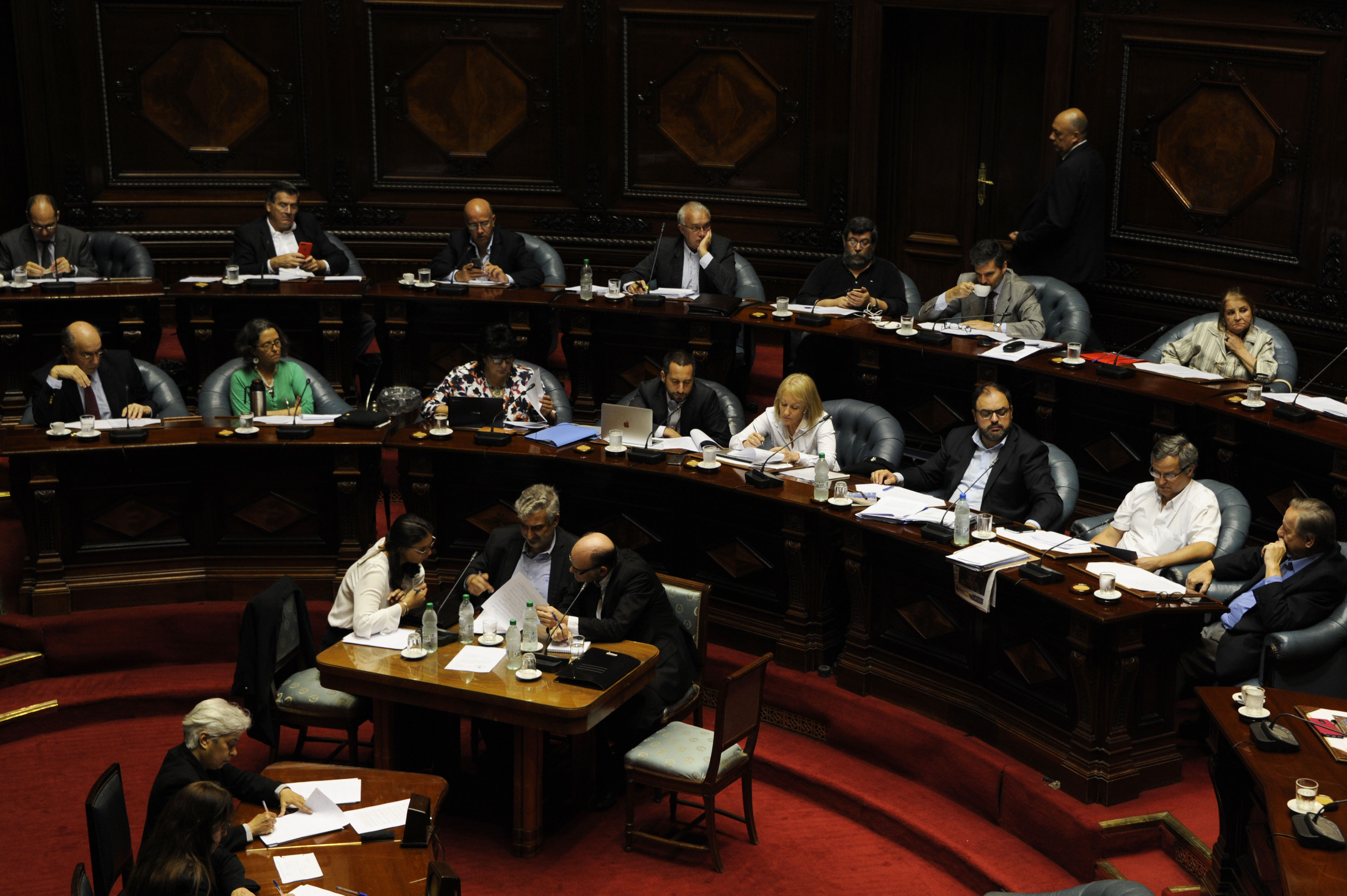 Carolina Cosse en su comparecencia en la Cámara de Senadores
