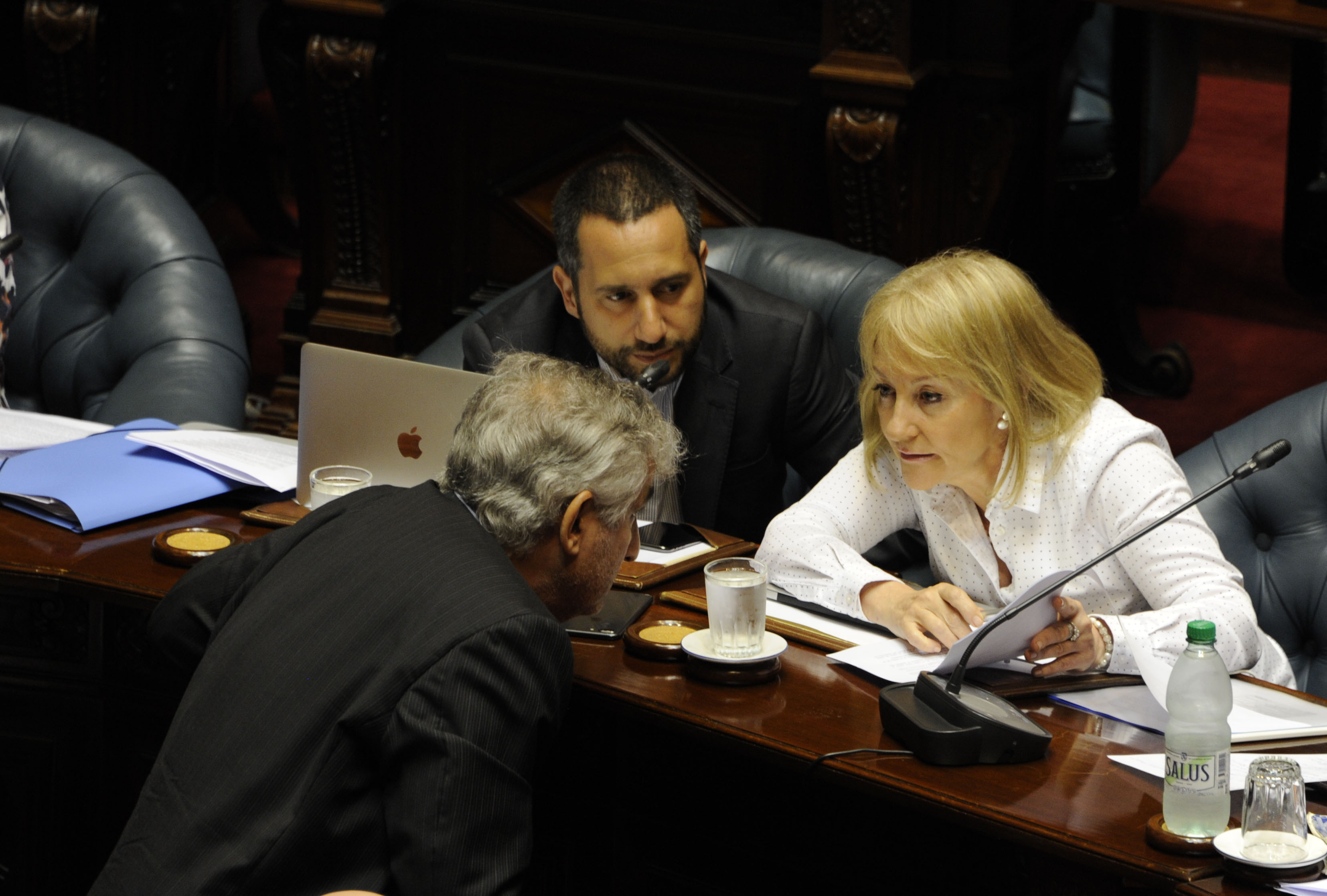 Carolina Cosse en su comparecencia en la Cámara de Senadores