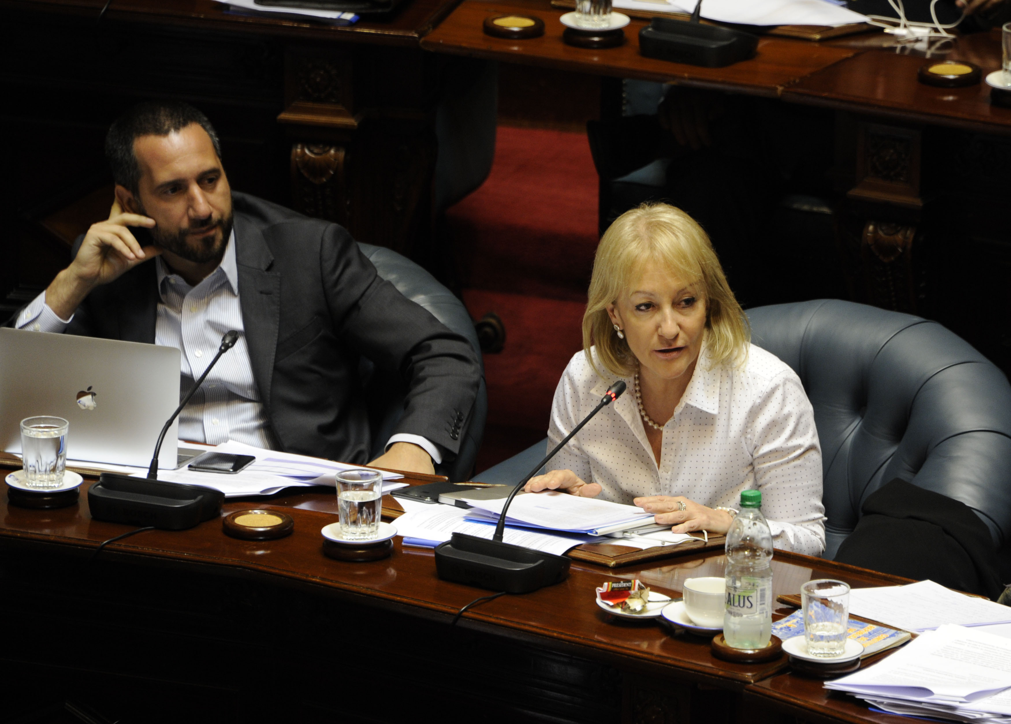 Carolina Cosse en su comparecencia en la Cámara de Senadores