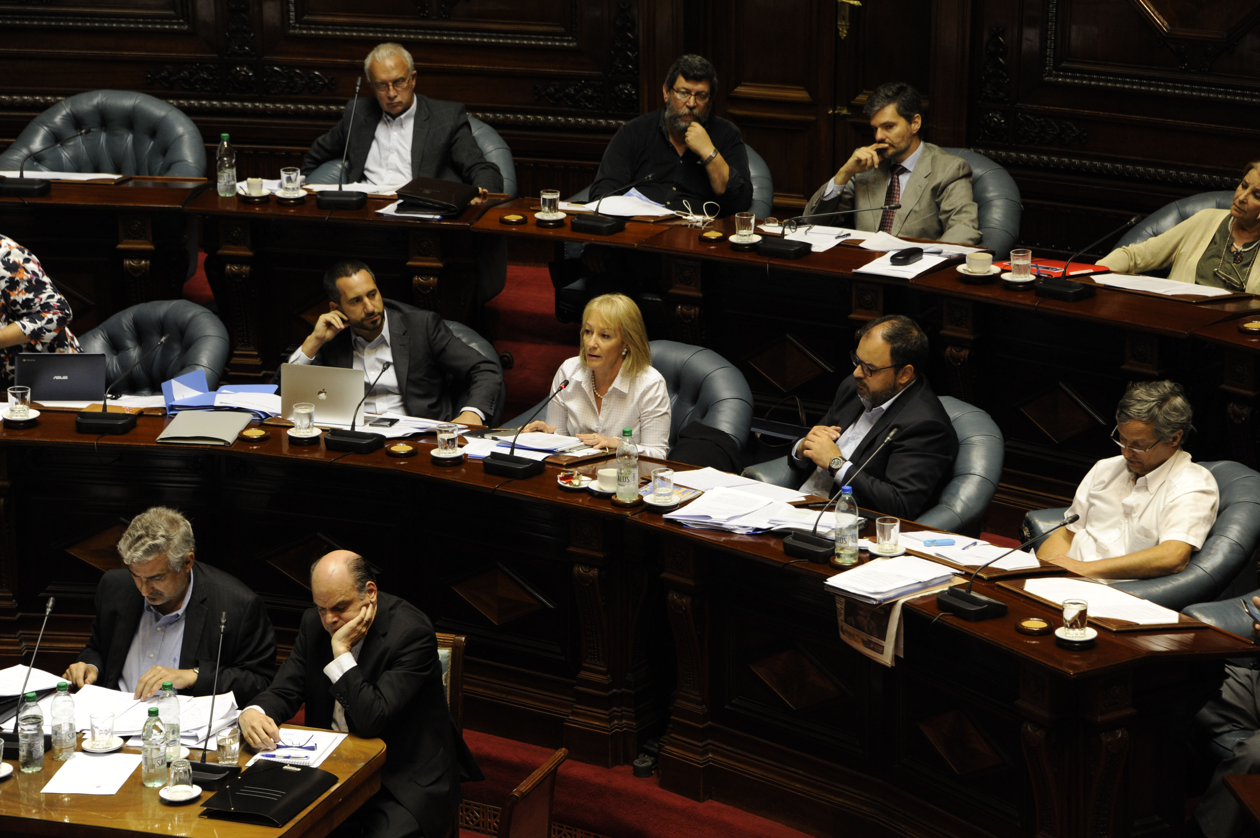 Carolina Cosse en su comparecencia en la Cámara de Senadores