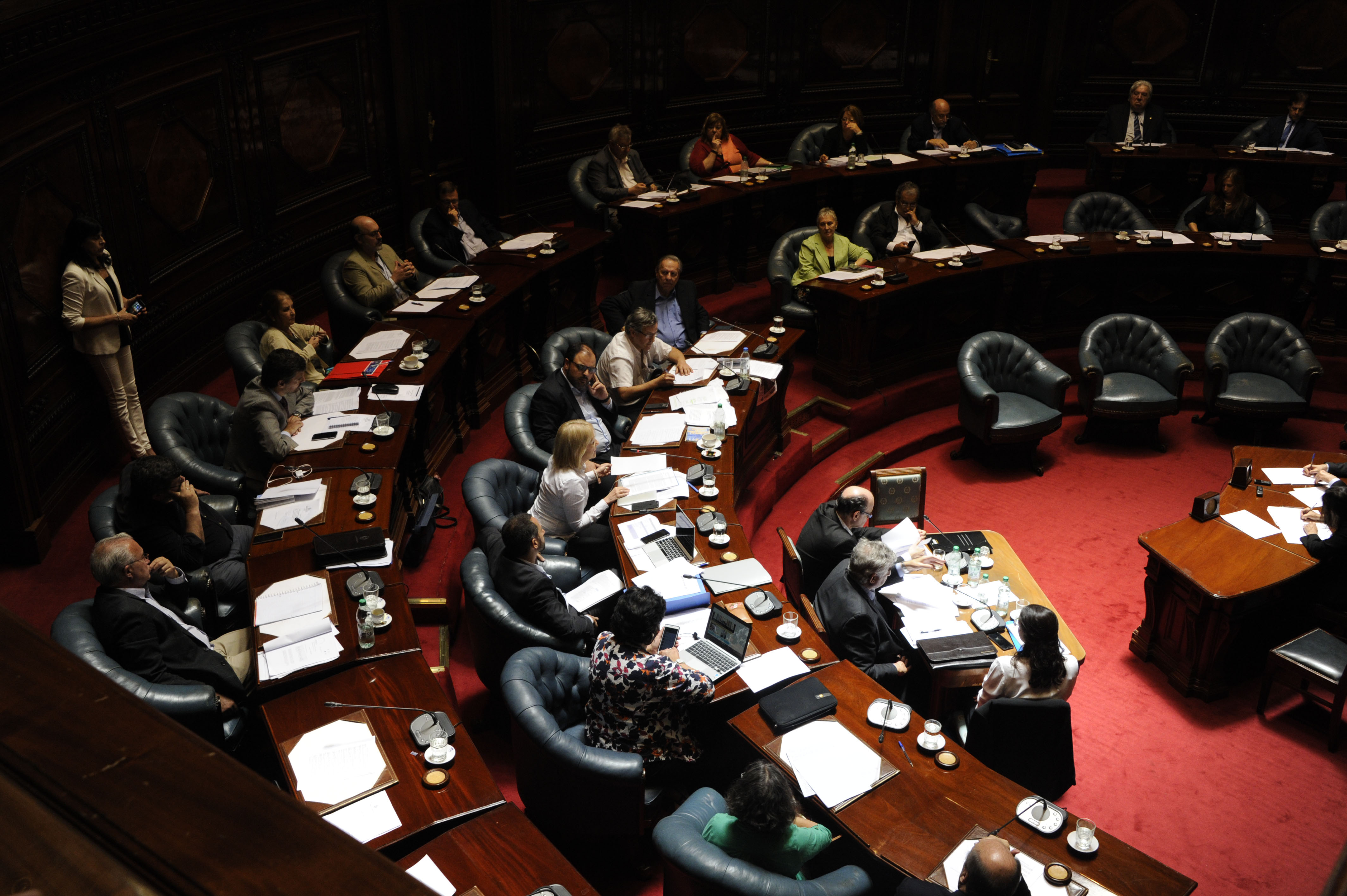 Carolina Cosse en su comparecencia en la Cámara de Senadores