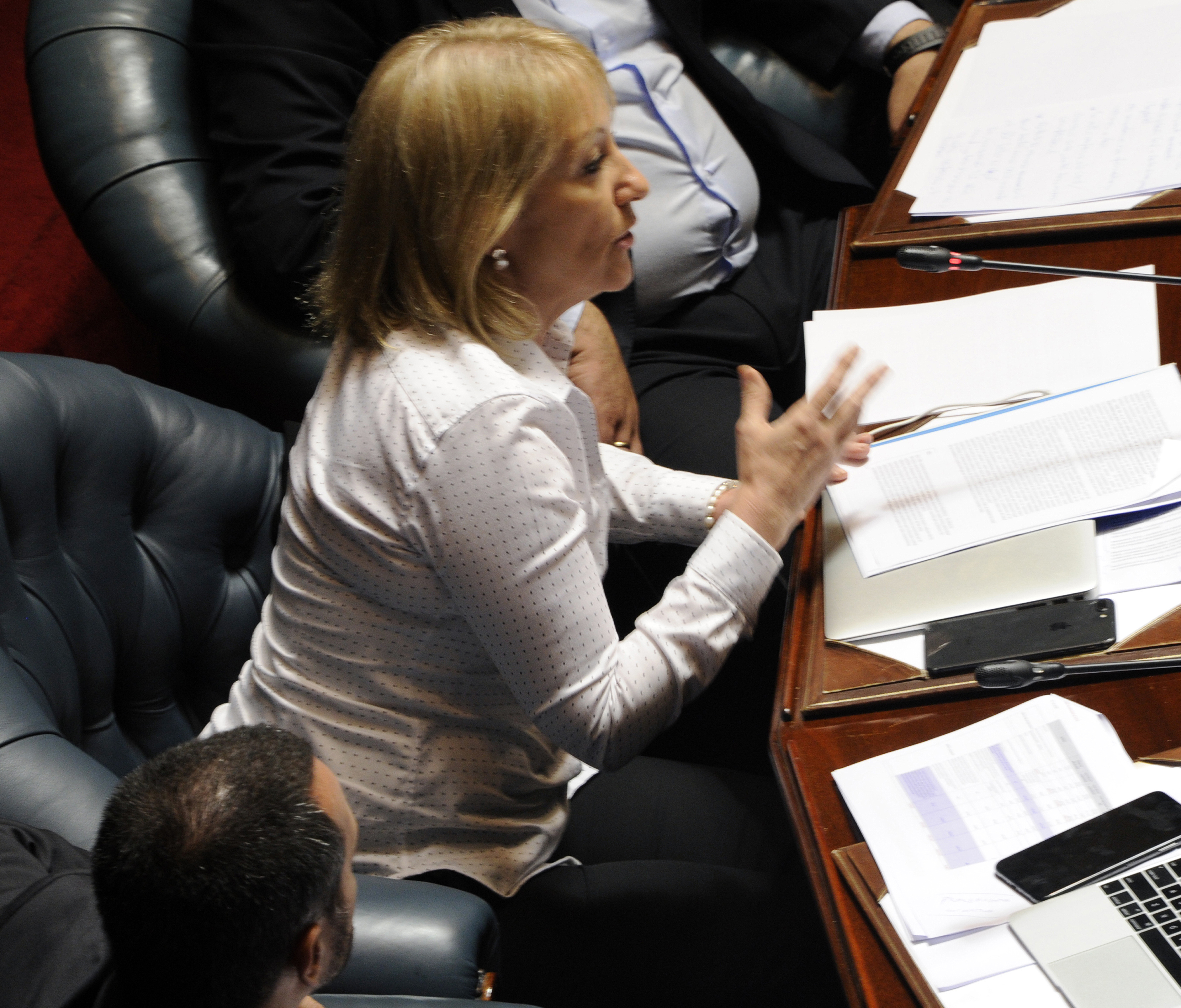 Carolina Cosse en su comparecencia en la Cámara de Senadores