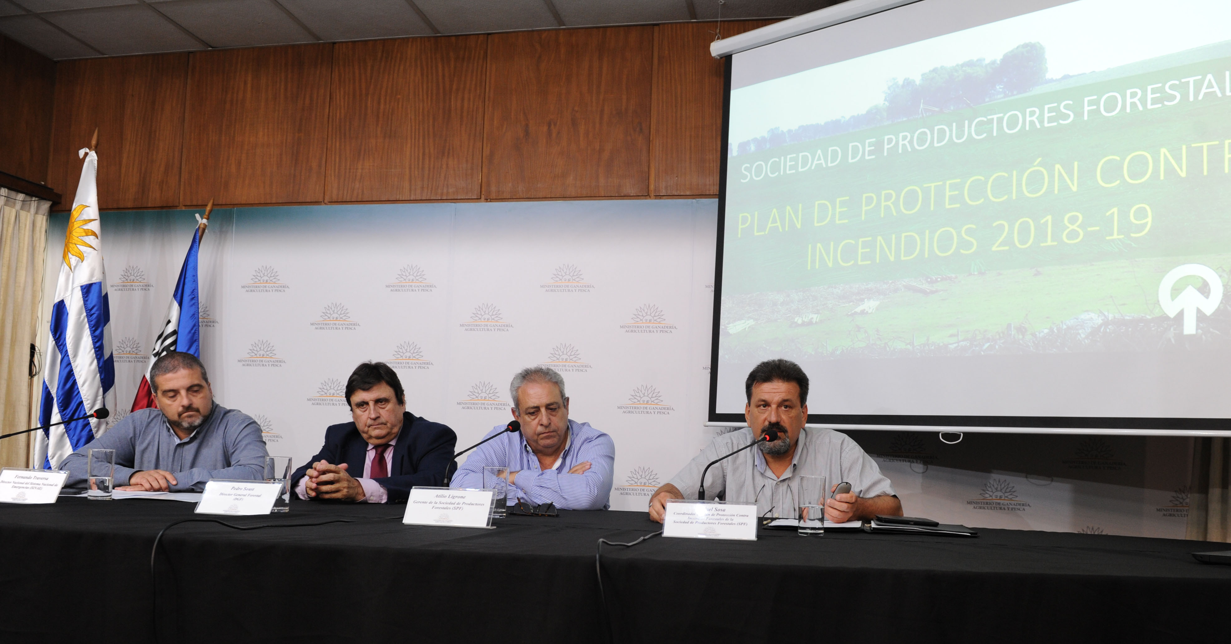 Gobierno y Sociedad de Productores Forestales presentaron recomendaciones para mitigar riesgos de incendio en verano