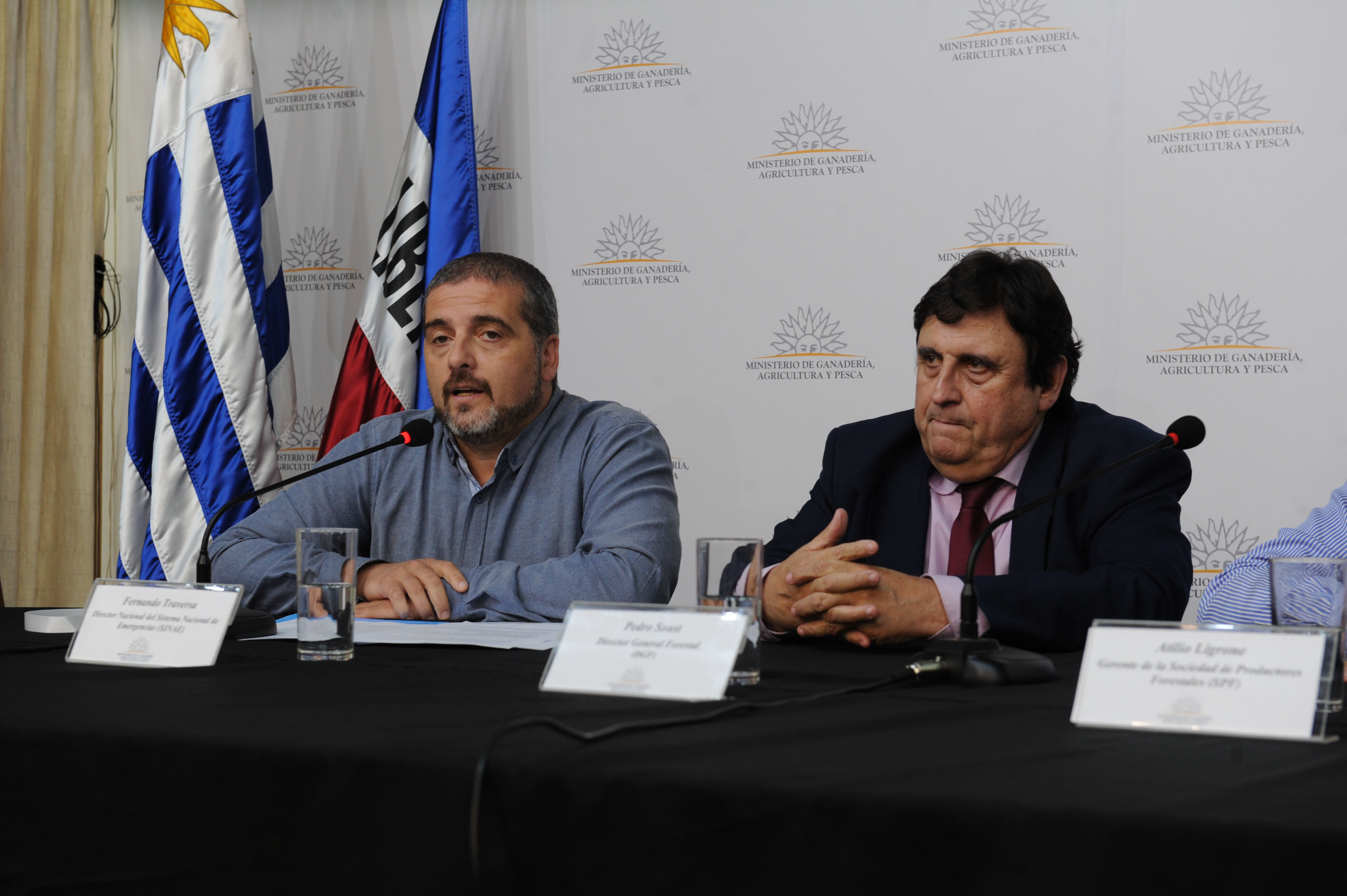 Gobierno y Sociedad de Productores Forestales presentaron recomendaciones para mitigar riesgos de incendio en verano
