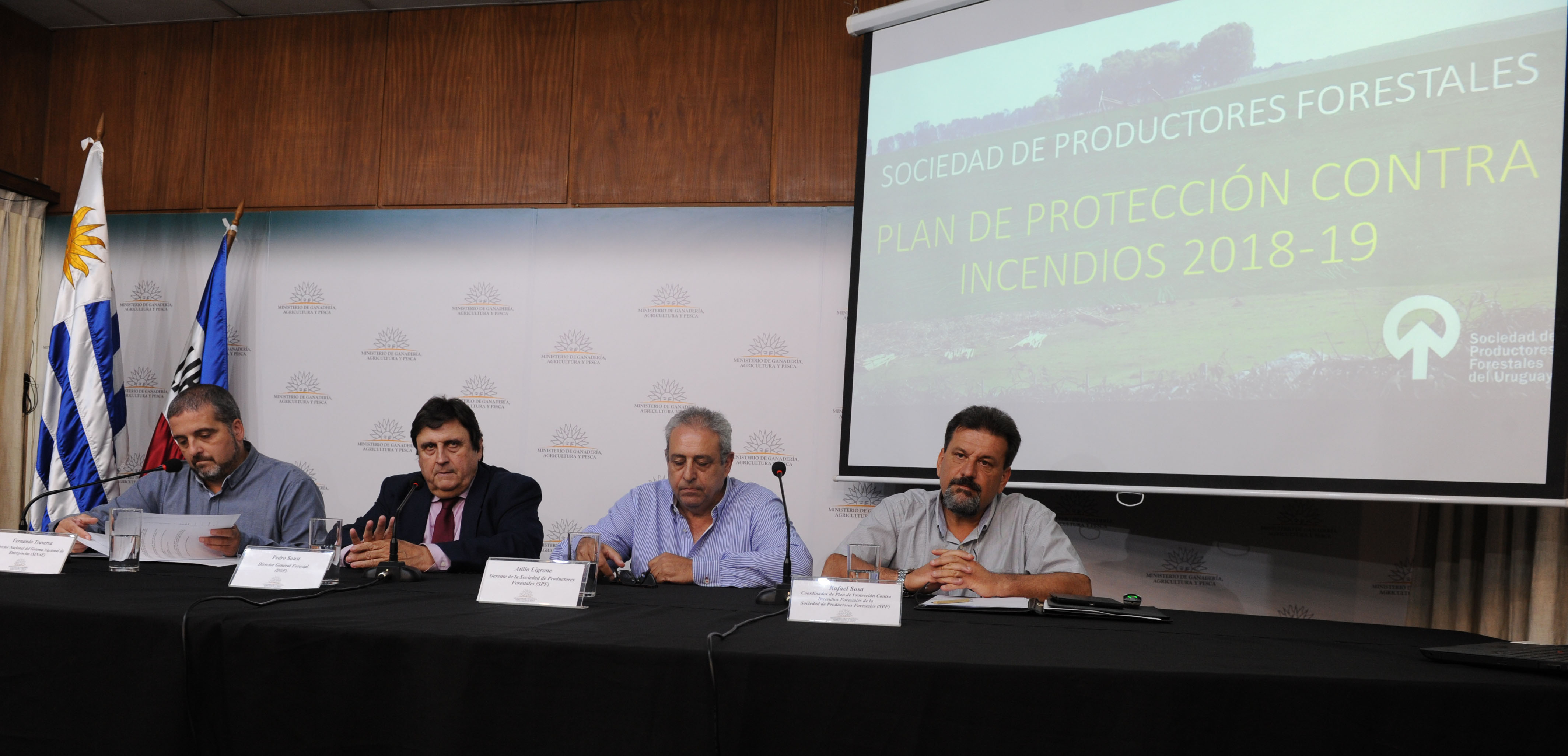 Gobierno y Sociedad de Productores Forestales presentaron recomendaciones para mitigar riesgos de incendio en verano