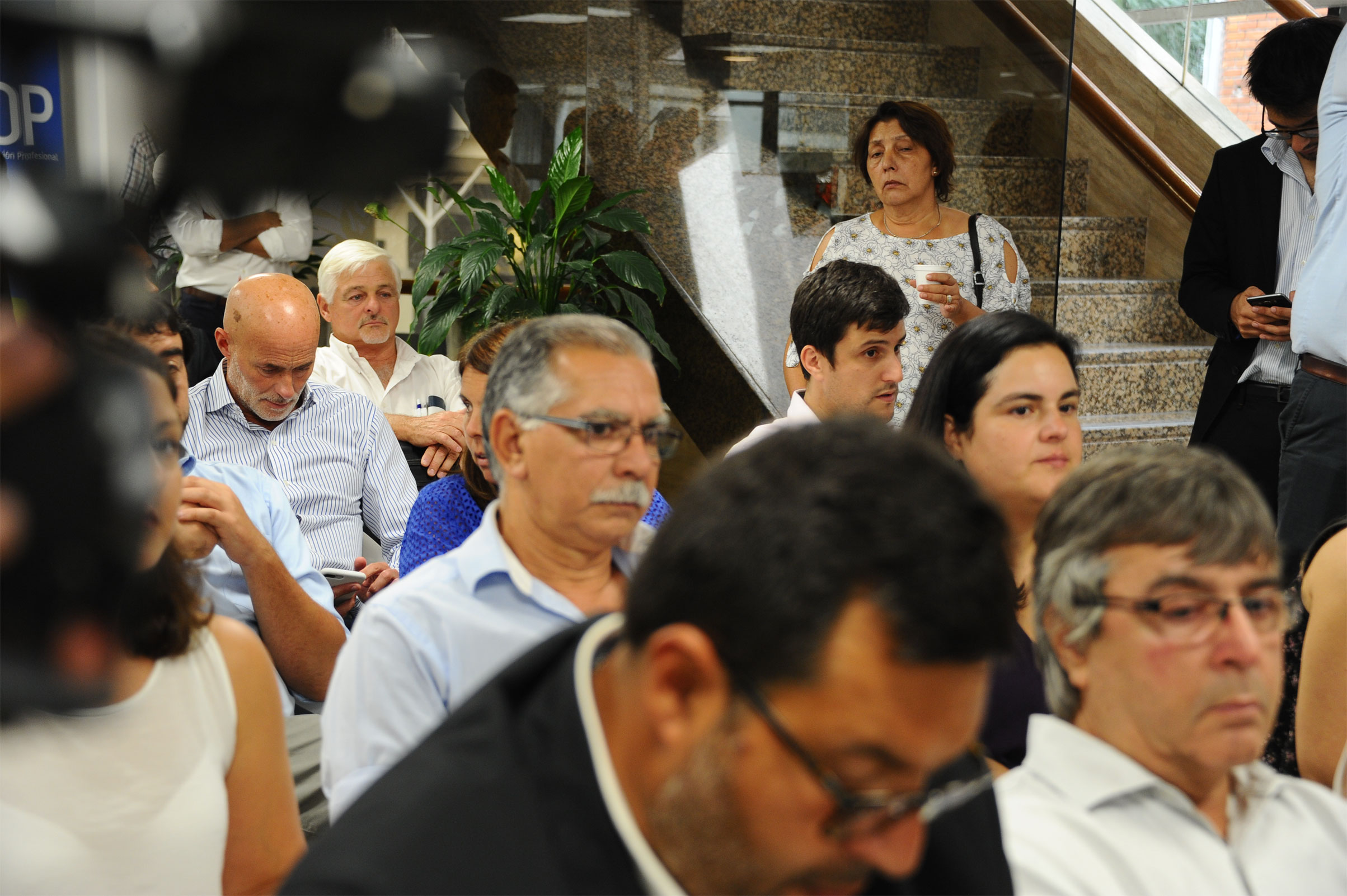 Asistentes a la actividad