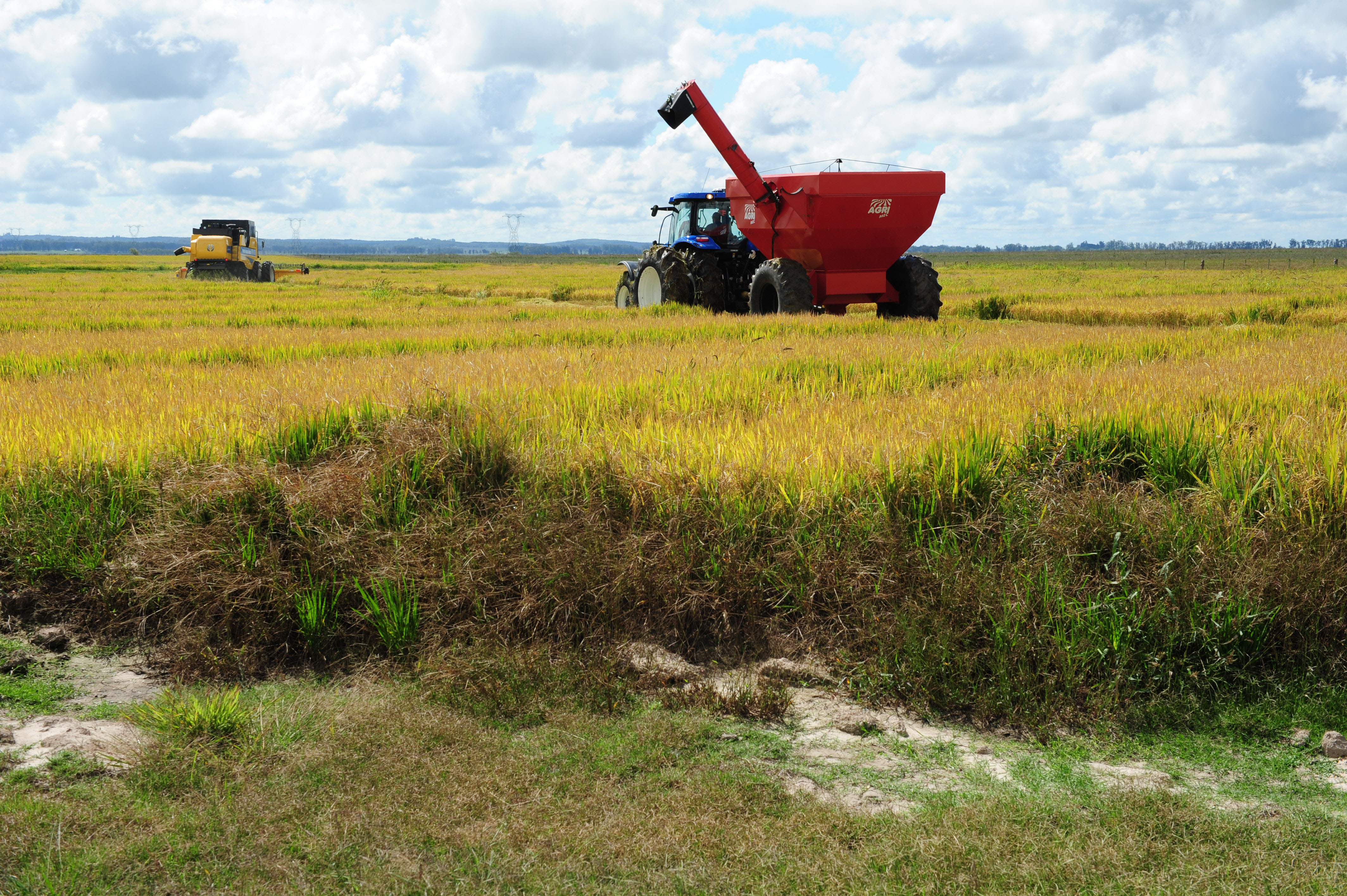 Inauguración de la cosecha de arroz en un establecimiento en el kilómetro 442 de la ruta 8, Cerro Largo