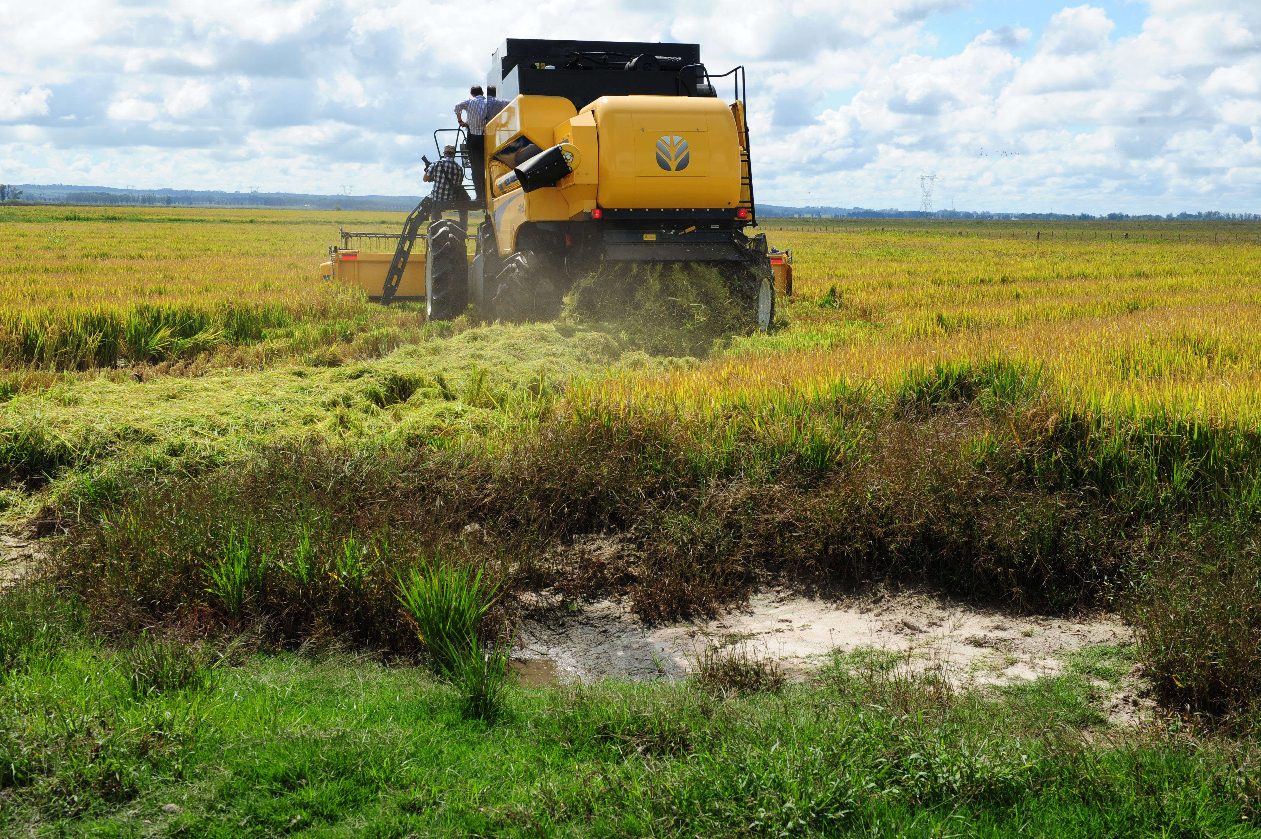 Inauguración de la cosecha de arroz en un establecimiento en el kilómetro 442 de la ruta 8, Cerro Largo