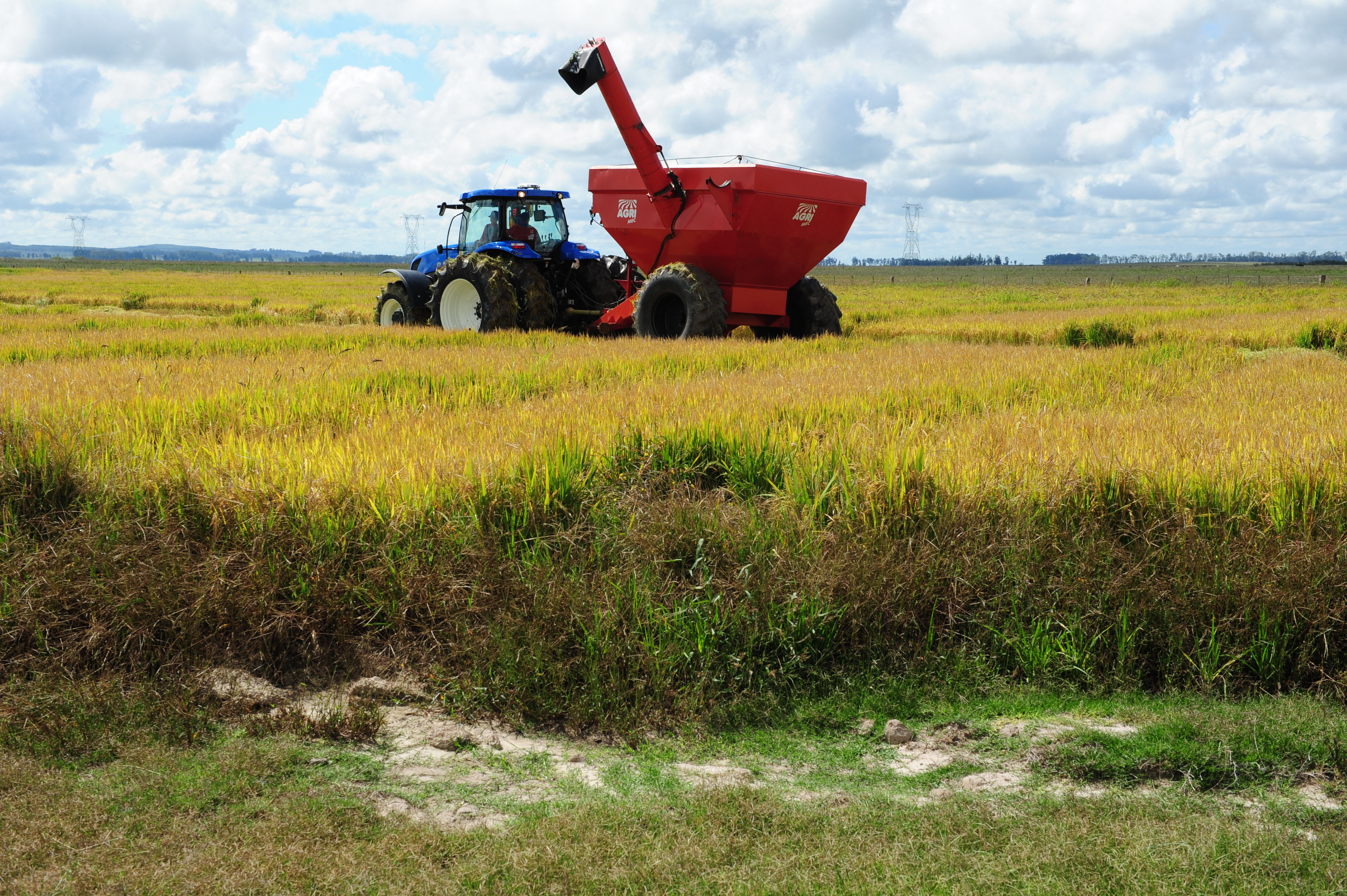 Inauguración de la cosecha de arroz en un establecimiento en el kilómetro 442 de la ruta 8, Cerro Largo