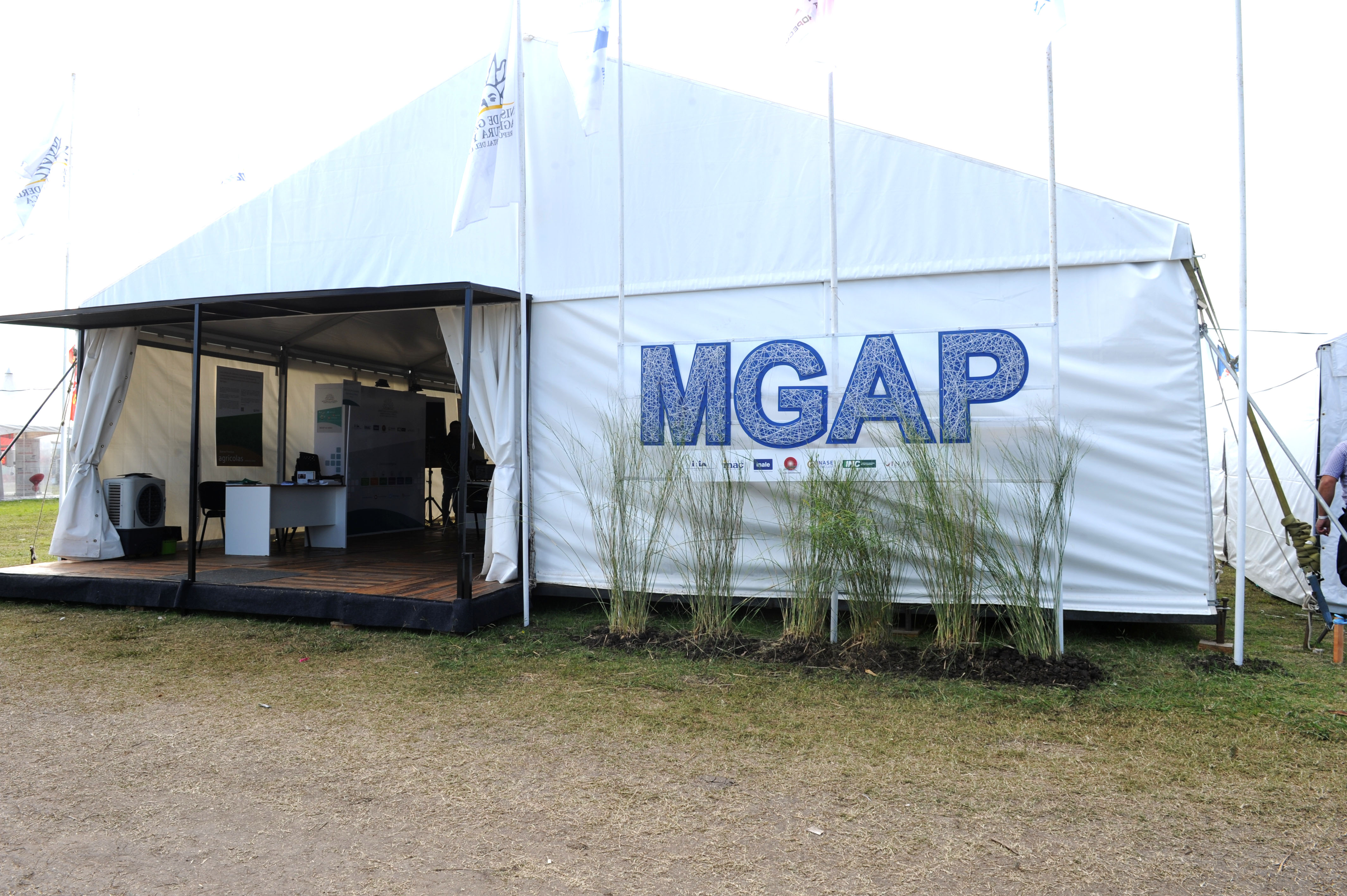 Expo Activa