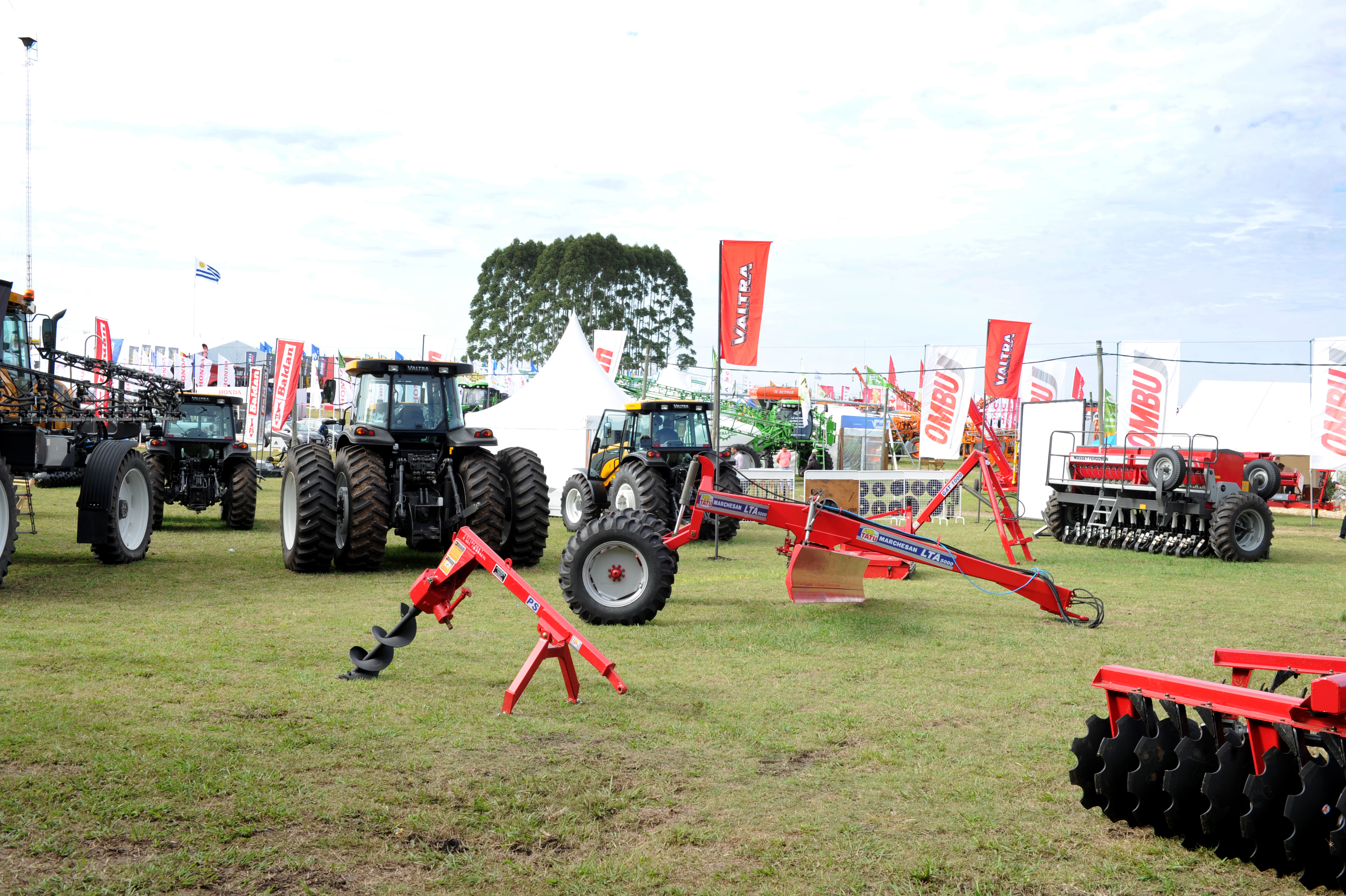 Expo Activa