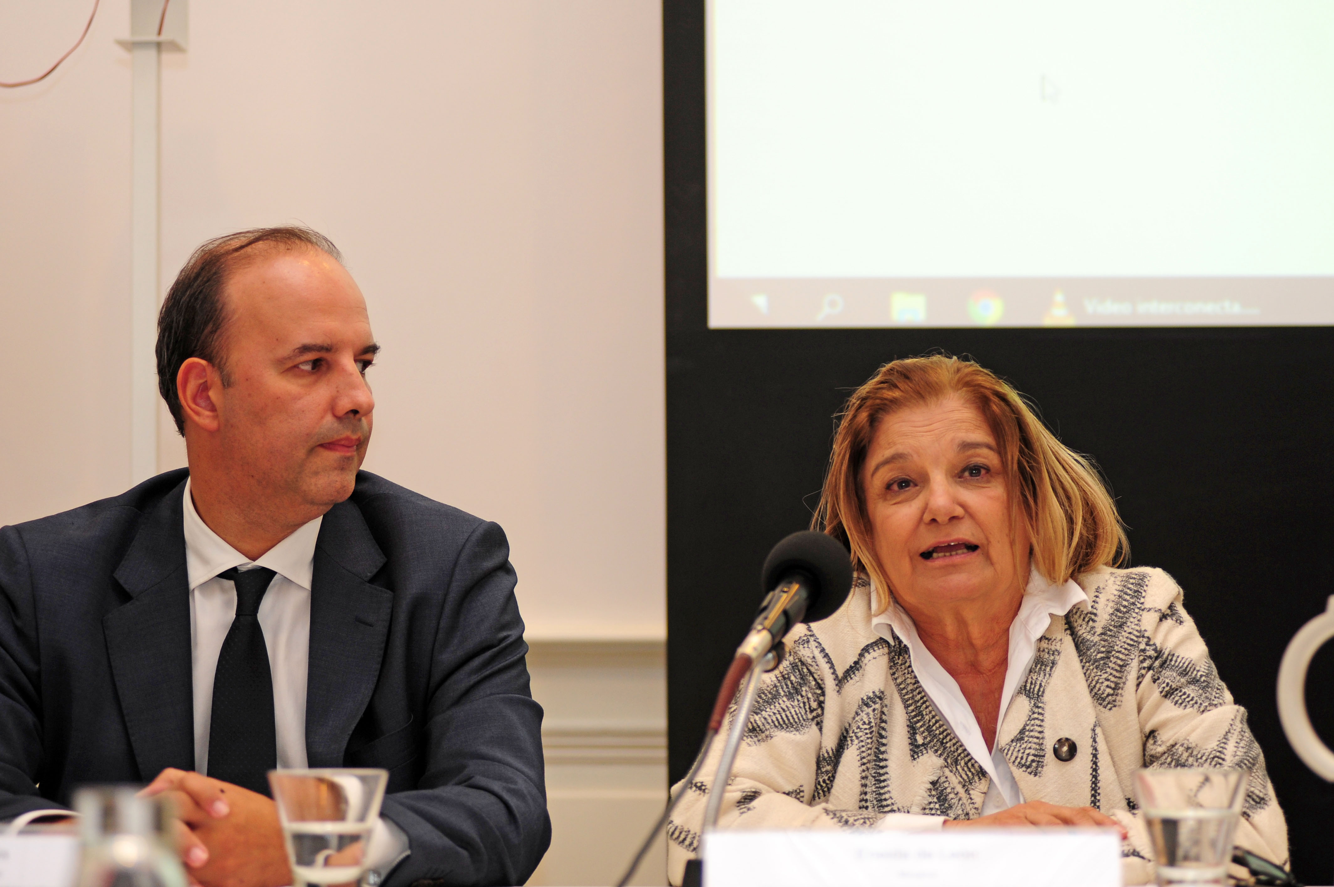Ministra de Vivienda, Ordenamiento Territorial y Medio Ambiente, Eneida de León