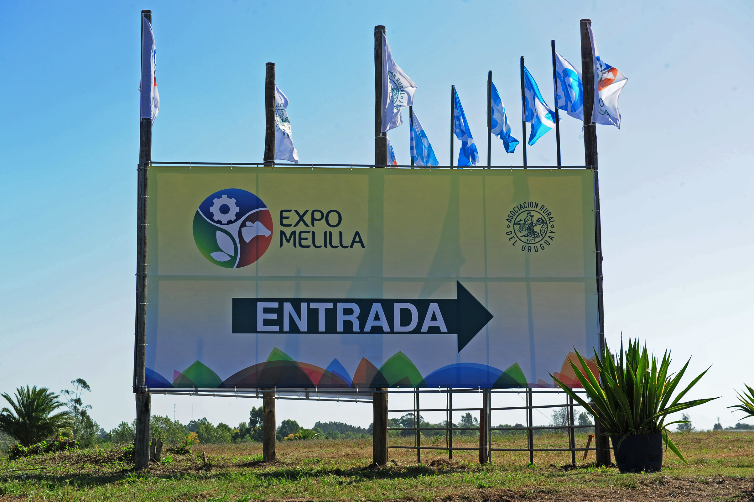 Lanzamiento de campaña Canasta Inteligente de incentivo al consumo de frutas y verduras de estación